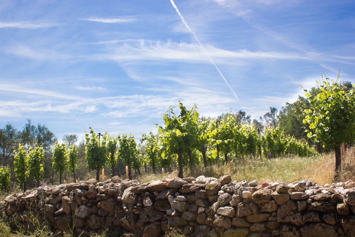 O Neals, California, 93645, United States, 3 Bedrooms Bedrooms, ,2 BathroomsBathrooms,Residential,For Sale,1981771