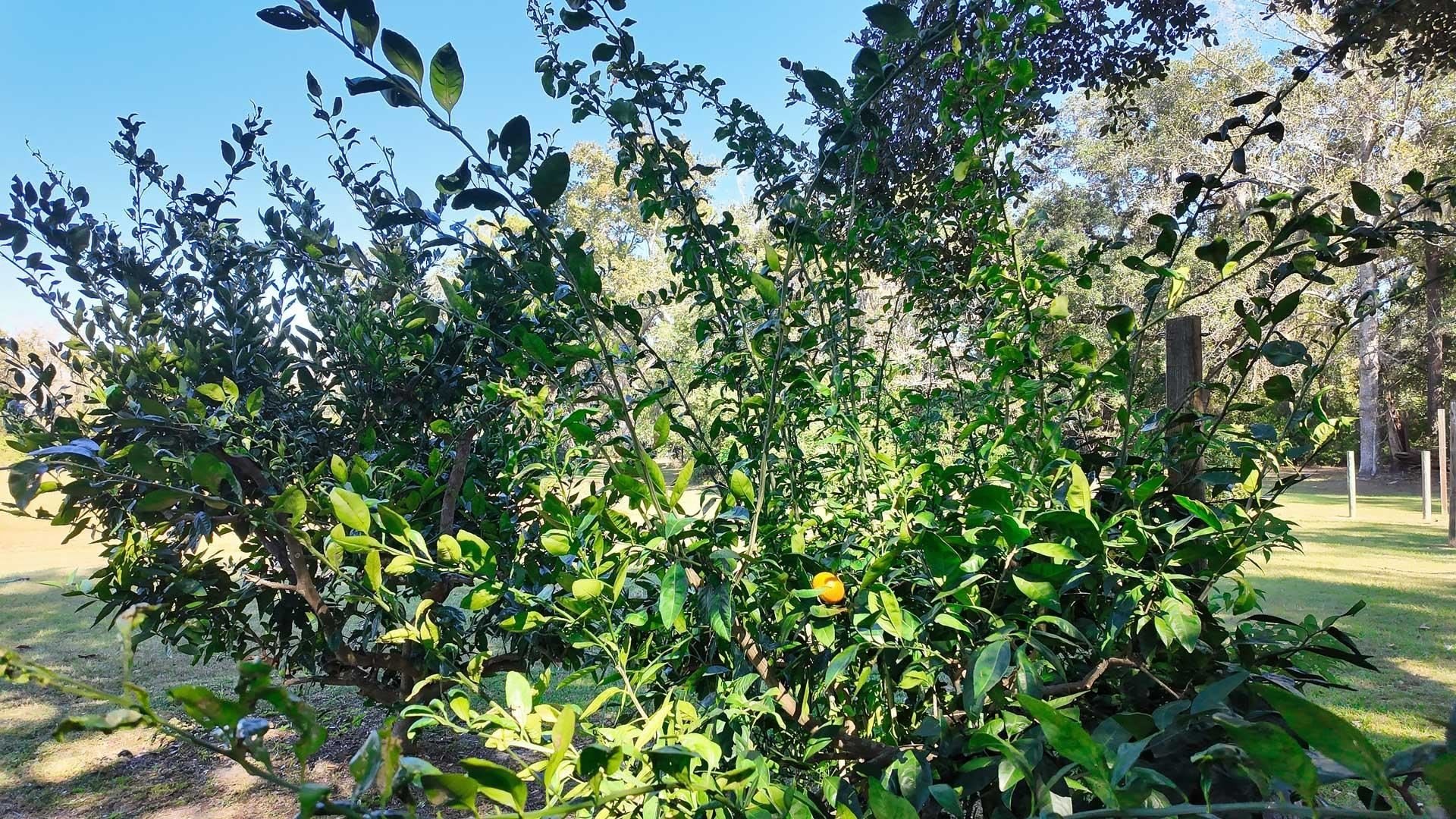 Monticello, Florida, 32344, United States, 3 Bedrooms Bedrooms, ,3 BathroomsBathrooms,Residential,For Sale,1987417