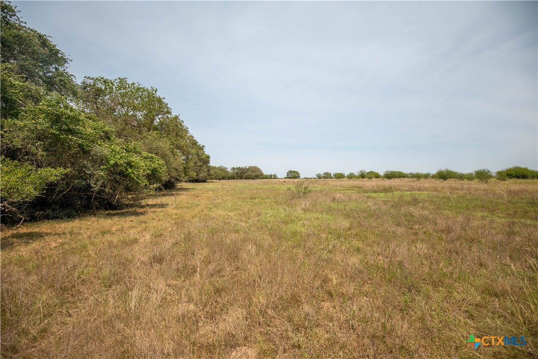 Cuero, Texas, 77954, United States, ,Residential,For Sale,1950887