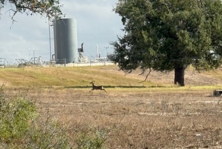 Runge, Texas, 78151, United States, 3 Bedrooms Bedrooms, ,2 BathroomsBathrooms,Residential,For Sale,1996621