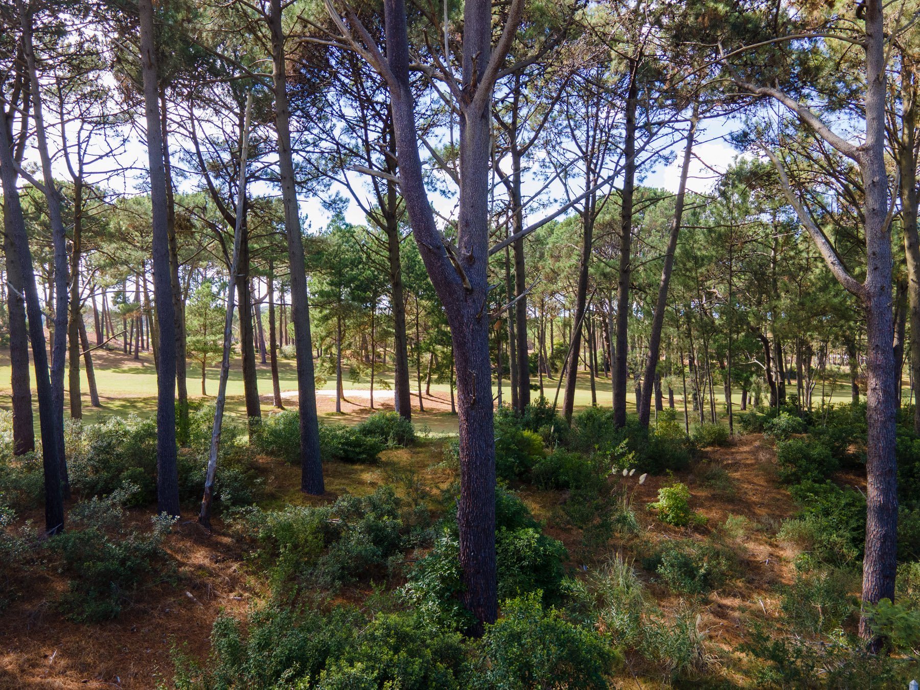  Excellent land in the Golf of the Lake Club - 物件實景