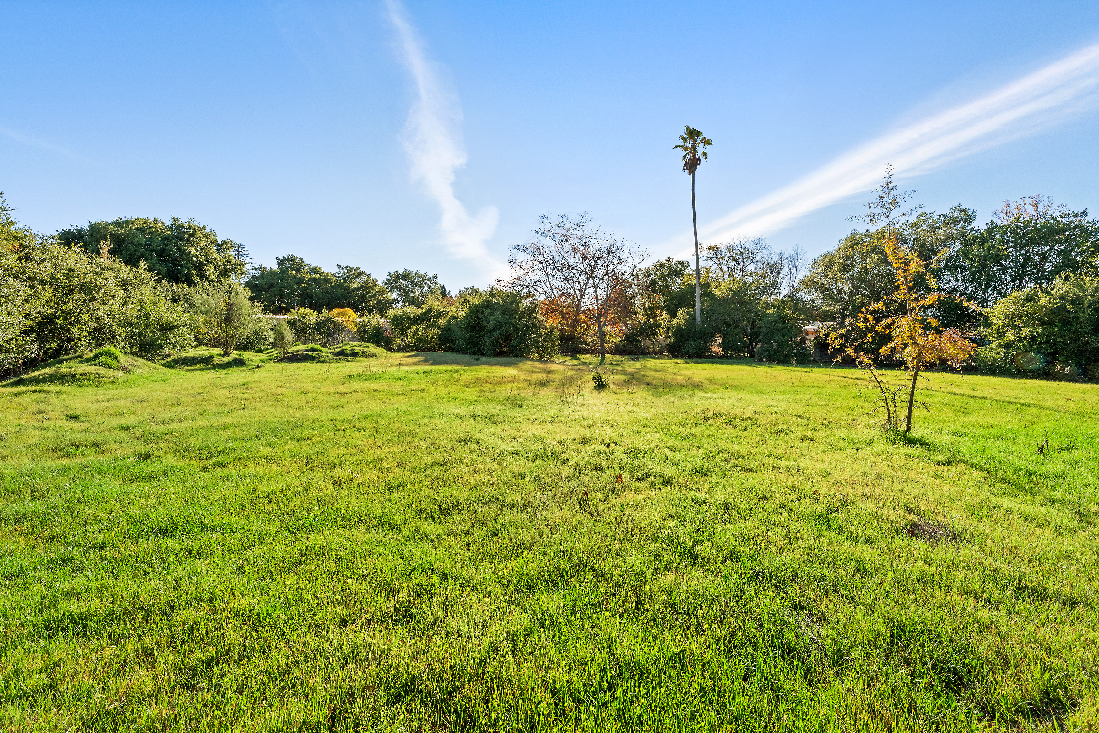  Entitled 31 Unit Luxury Condo Development Near Downtown Sonoma Plaza - 物件實景
