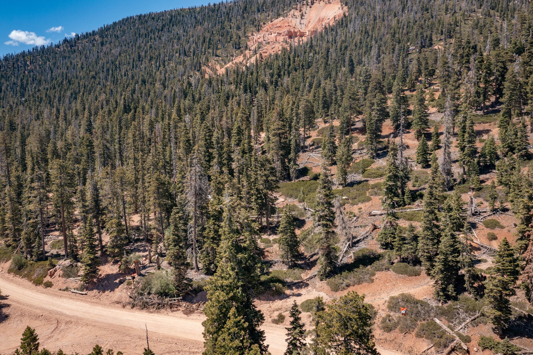  Quiet Mountain Retreat Near Navajo Lake - 物件實景