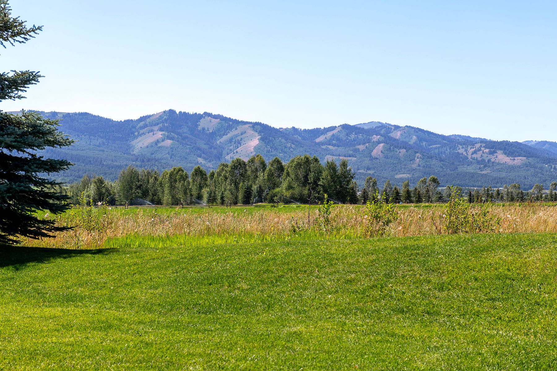  Smith Canyon Ranches Home - 物件實景
