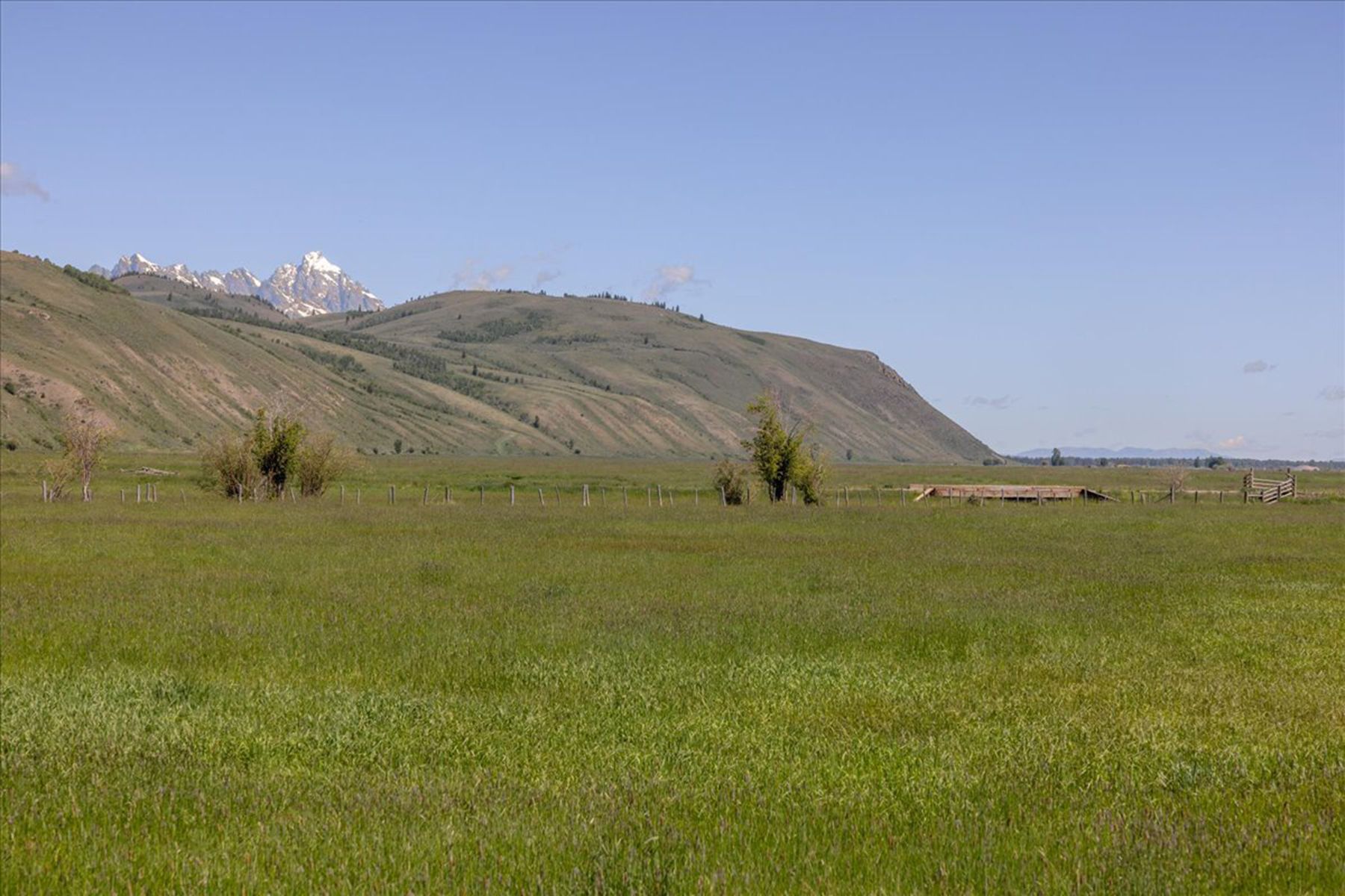  The Mead Ranch - 物件實景