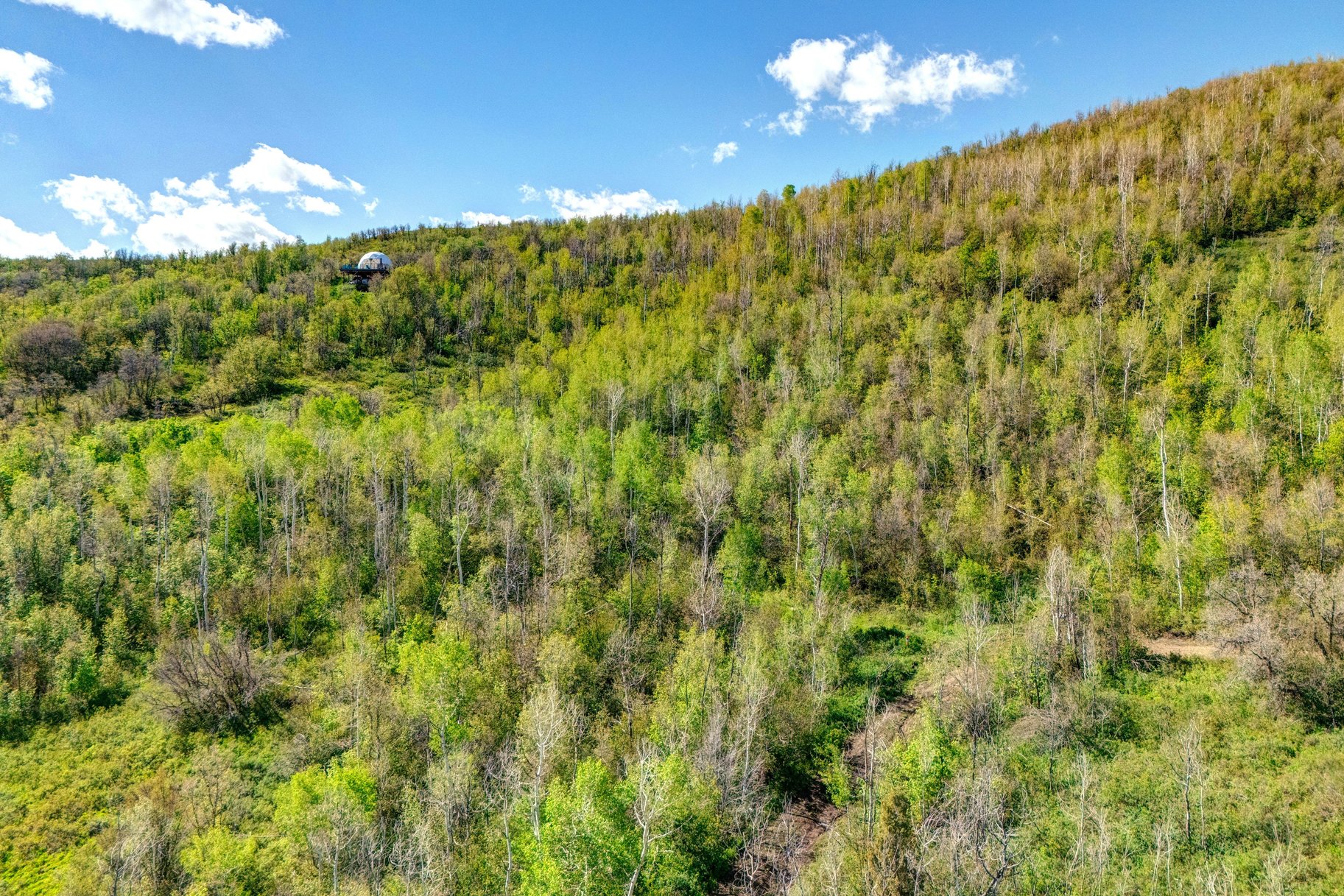 Wooded 5 acres No HOA - 物件實景