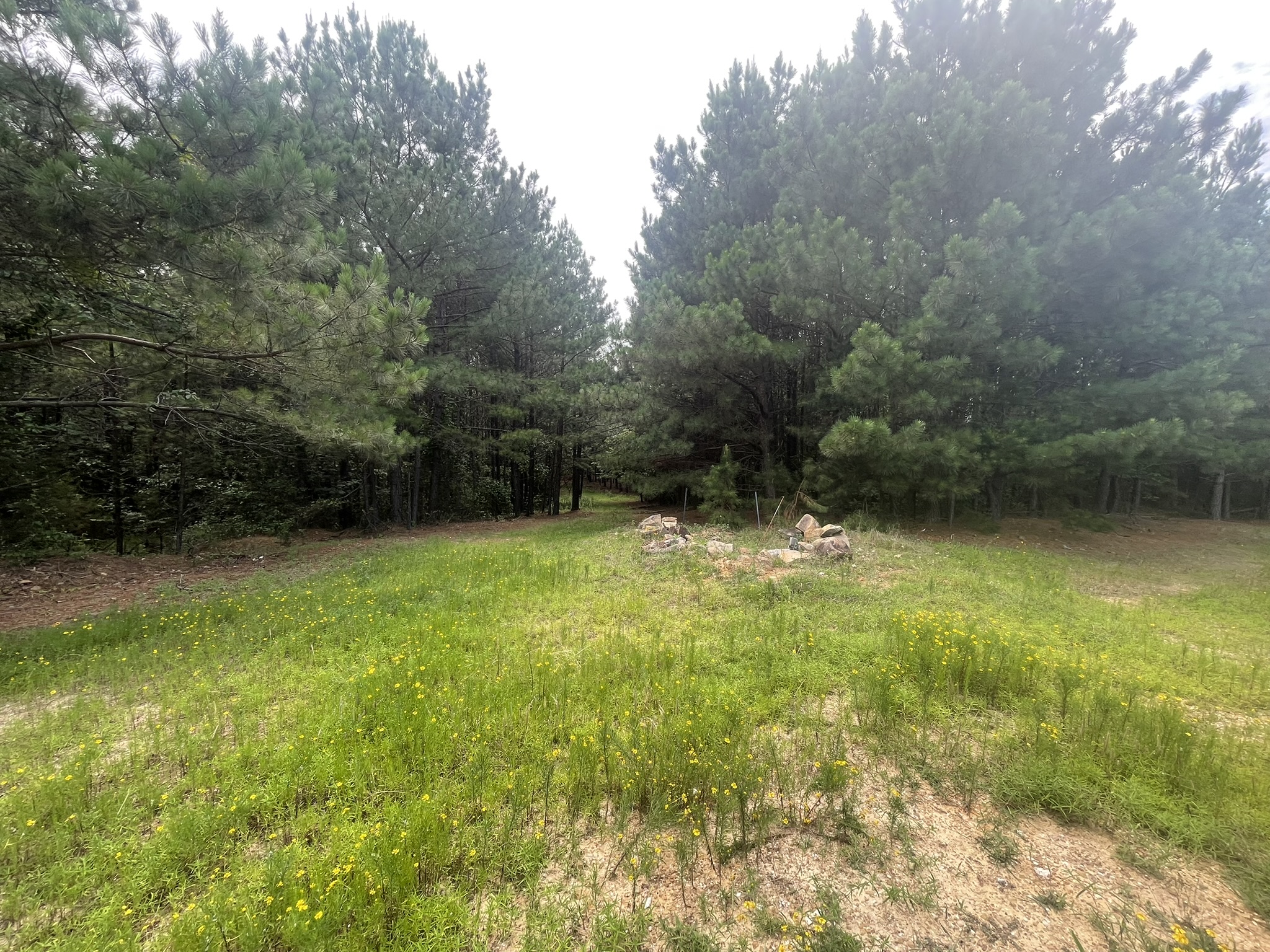 Cove, Arkansas, 71937, United States, 2 Bedrooms Bedrooms, ,Residential,For Sale,1938285