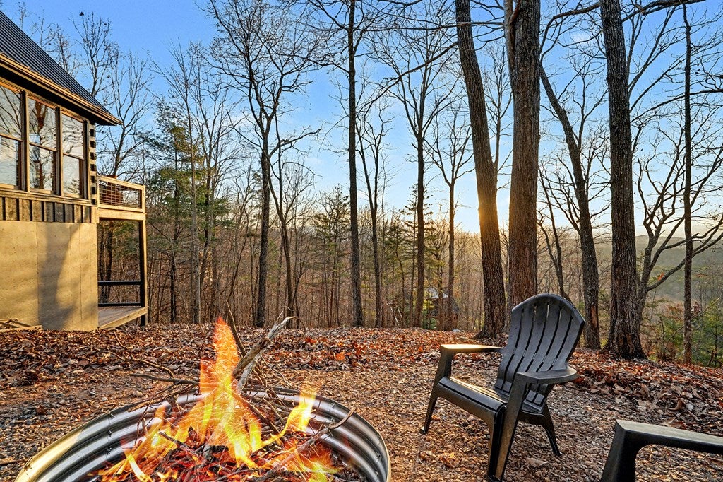 Mineral Bluff, Georgia, 30559, United States, 3 Bedrooms Bedrooms, ,3 BathroomsBathrooms,Residential,For Sale,2006593