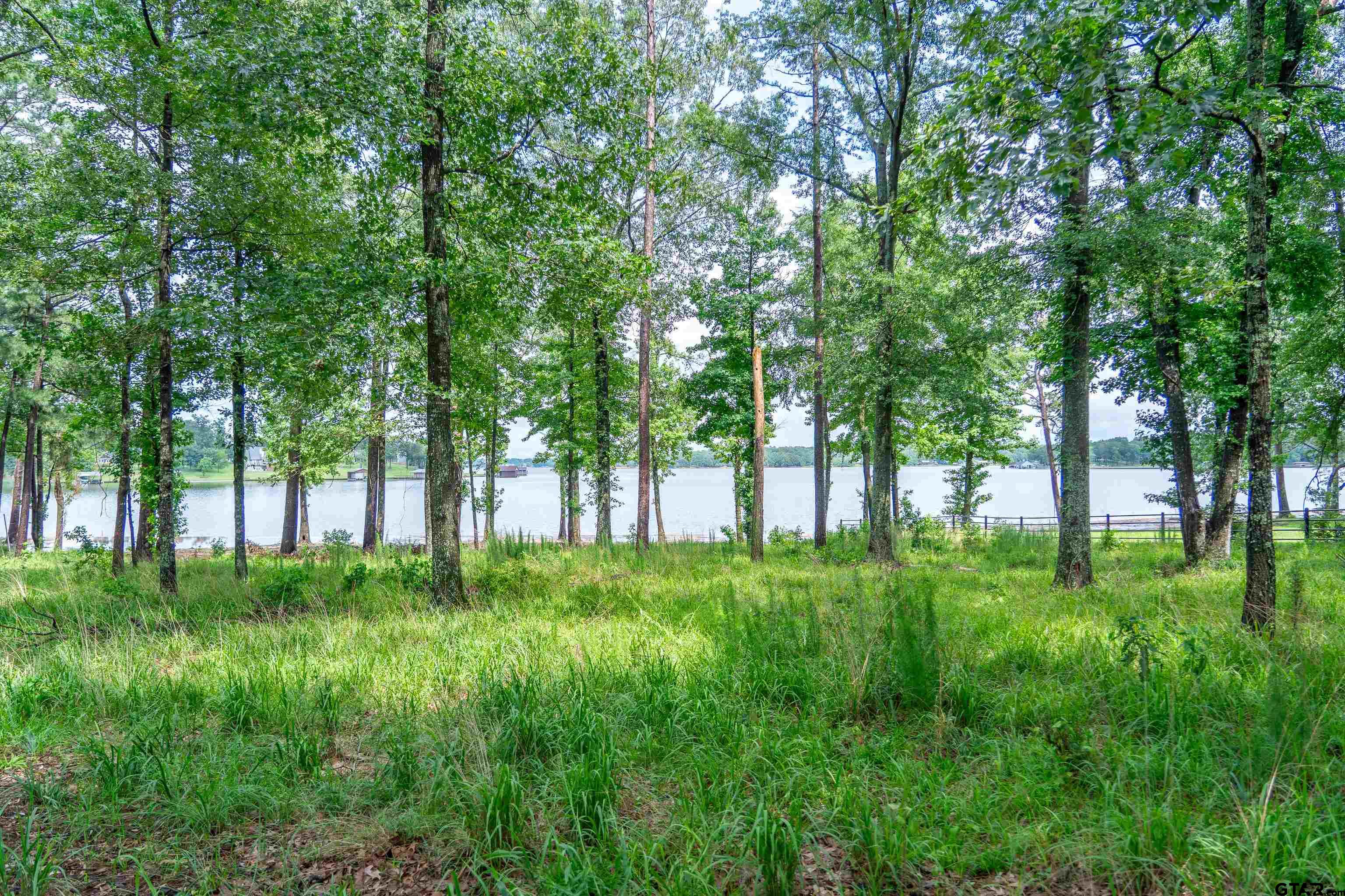 Scroggins, Texas, 75480, United States, ,Land,For Sale,1975863