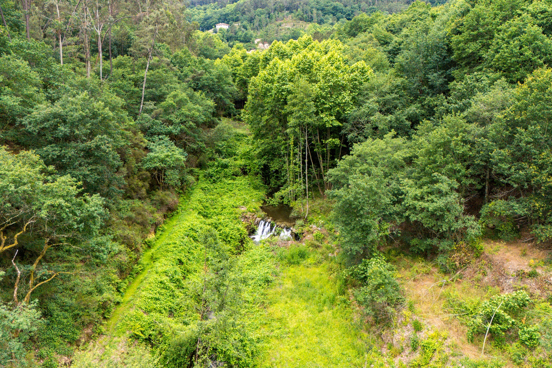  Farm, 3 bedrooms, for Sale - 物件實景