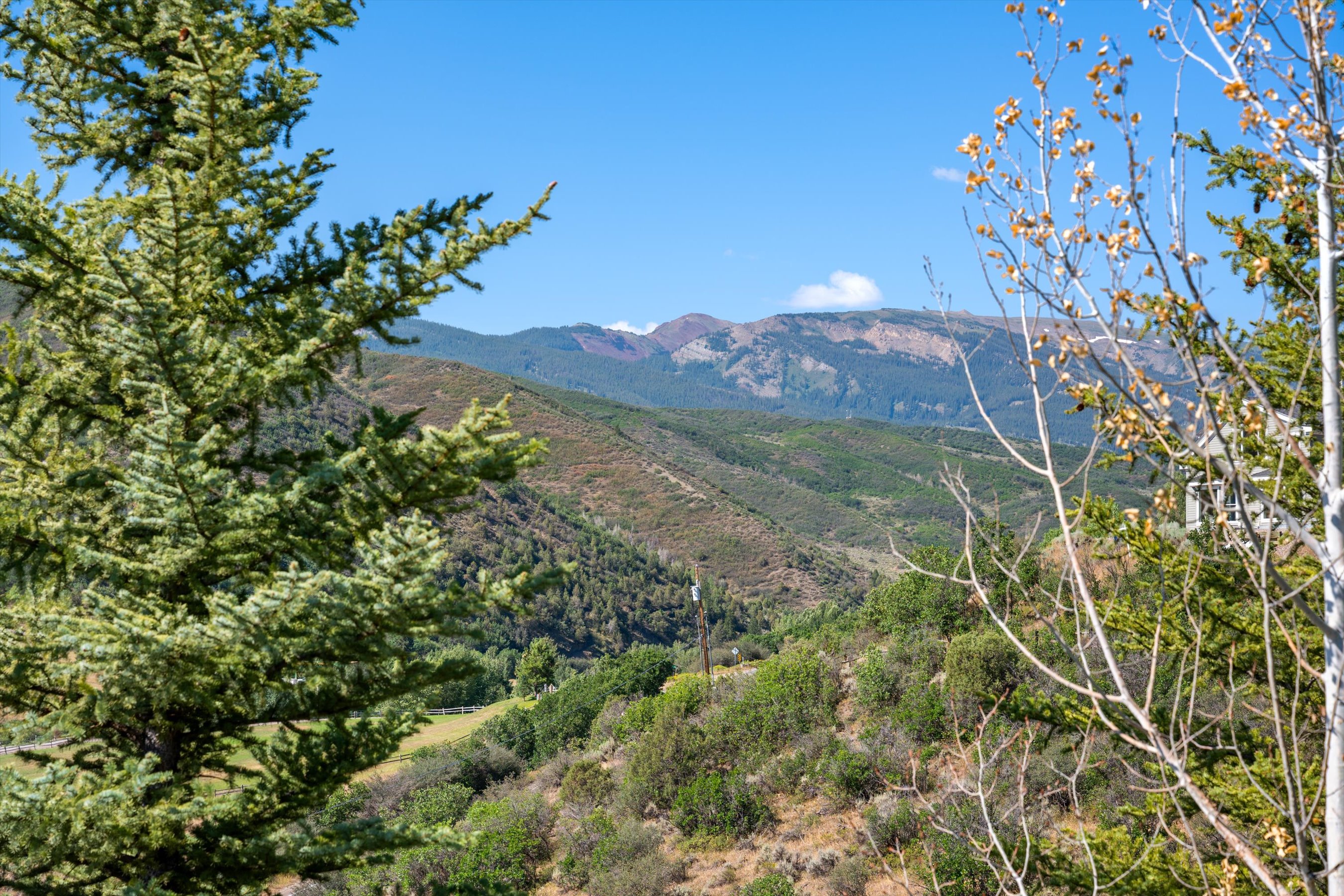  Two Private Acres in Brush Creek Village - 物件實景