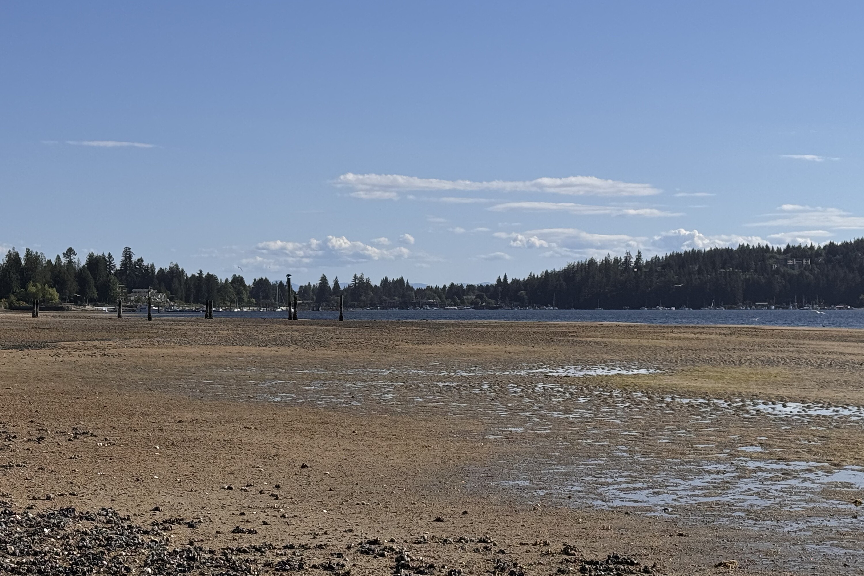  Sechelt, Sunshine Coast - 物件實景