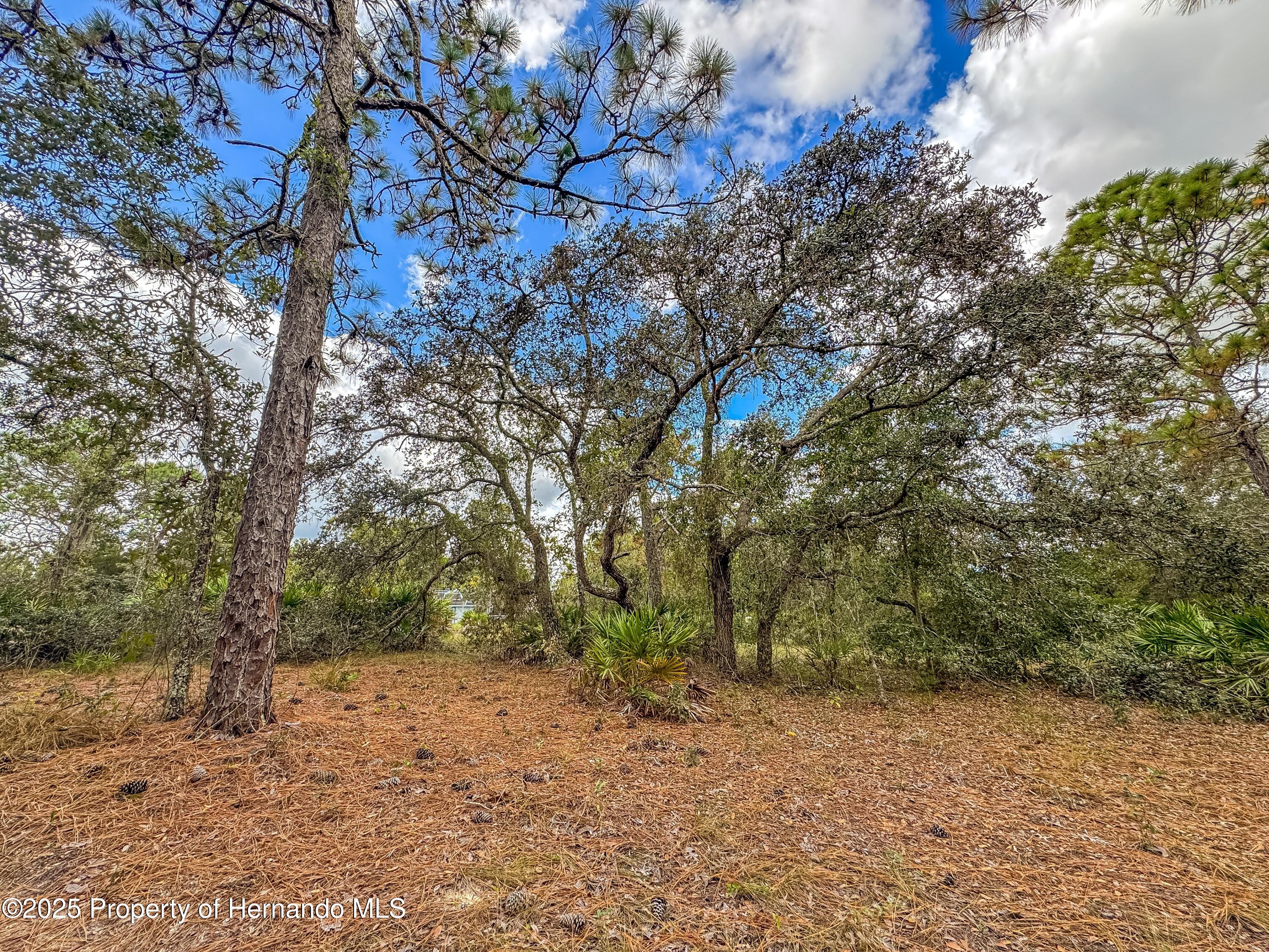 Brooksville, Florida, 34613, United States, 4 Bedrooms Bedrooms, ,2 BathroomsBathrooms,Residential,For Sale,1975088