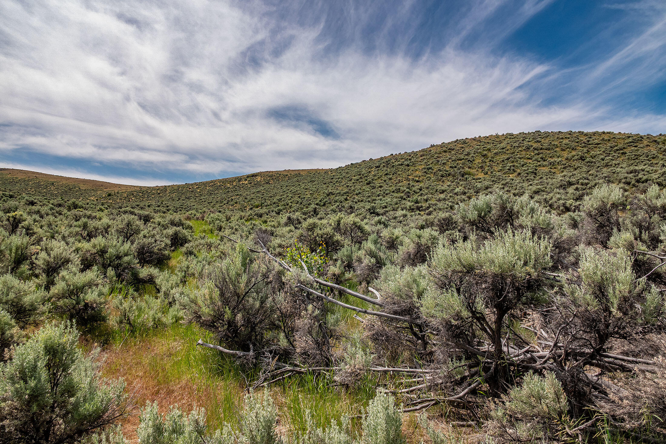 Tl 3700 Suplee Highway, Paulina, Oregon, 97751, United States, ,Land,For Sale,Tl 3700 Suplee Highway,1511106