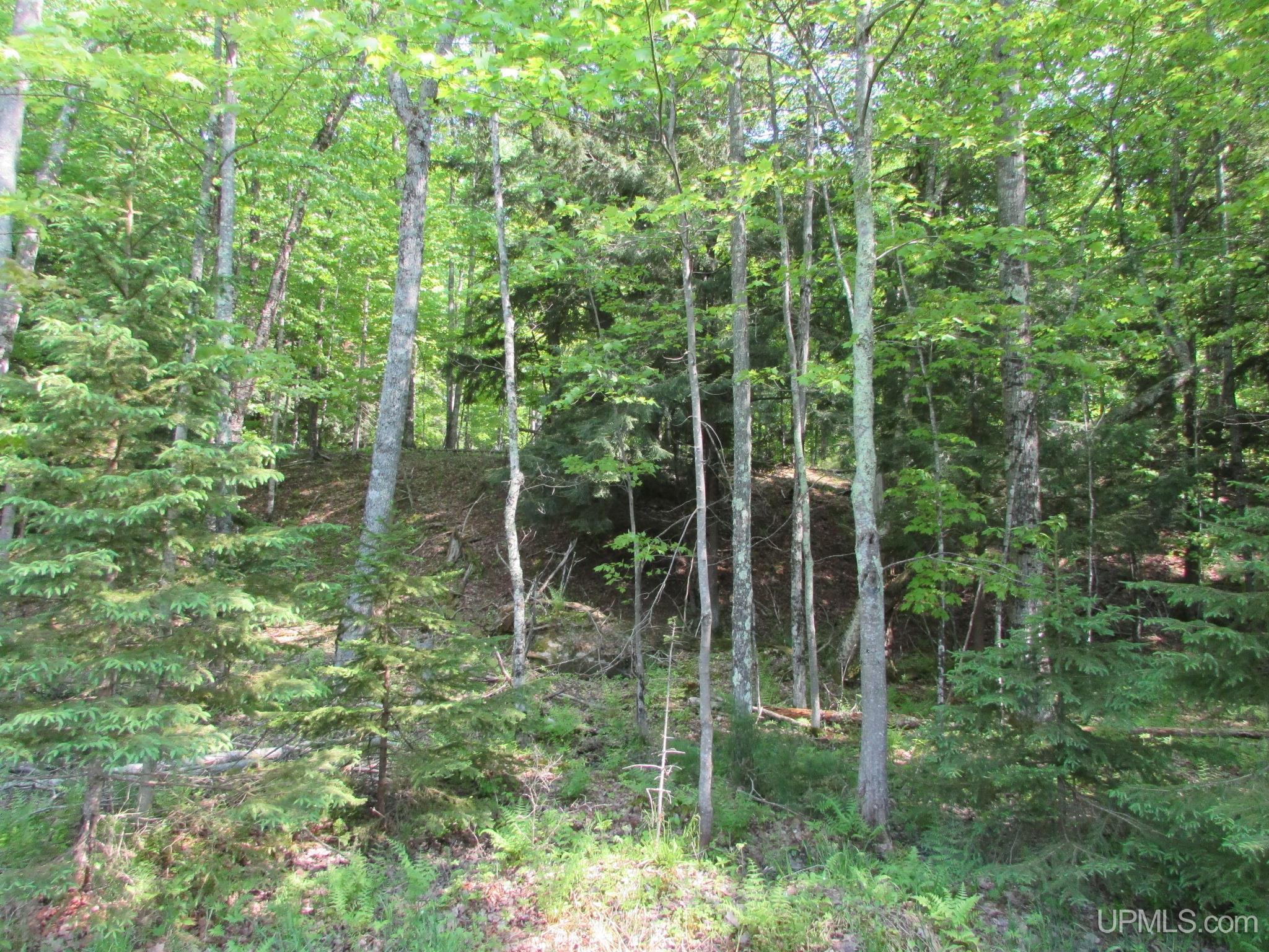 Skanee, Michigan, 49962, United States, 3 Bedrooms Bedrooms, ,2 BathroomsBathrooms,Residential,For Sale,1975456