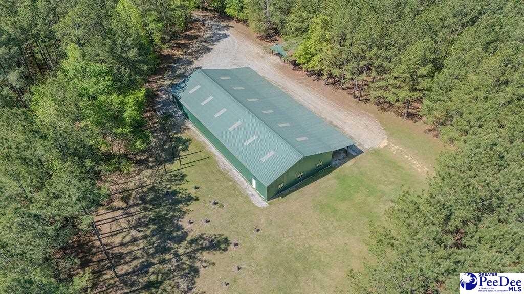 1315 Hill Harrell Road, Effingham, South Carolina, 29541-3179, United States, ,Land,For Sale,1315 Hill Harrell Road,1501598