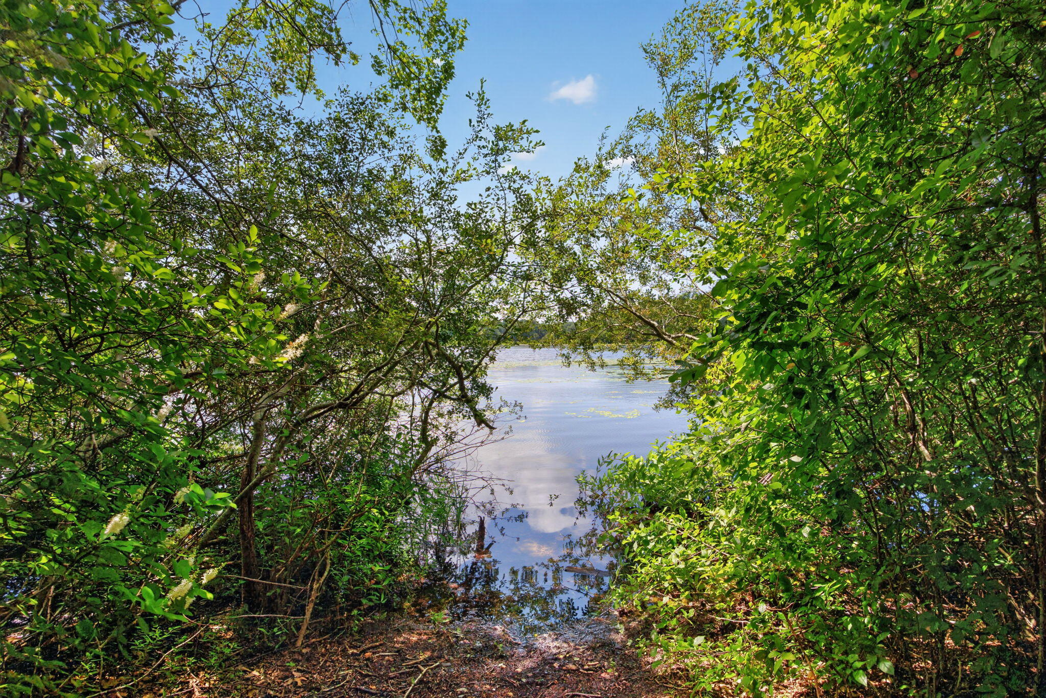  769 River Road - 物件實景