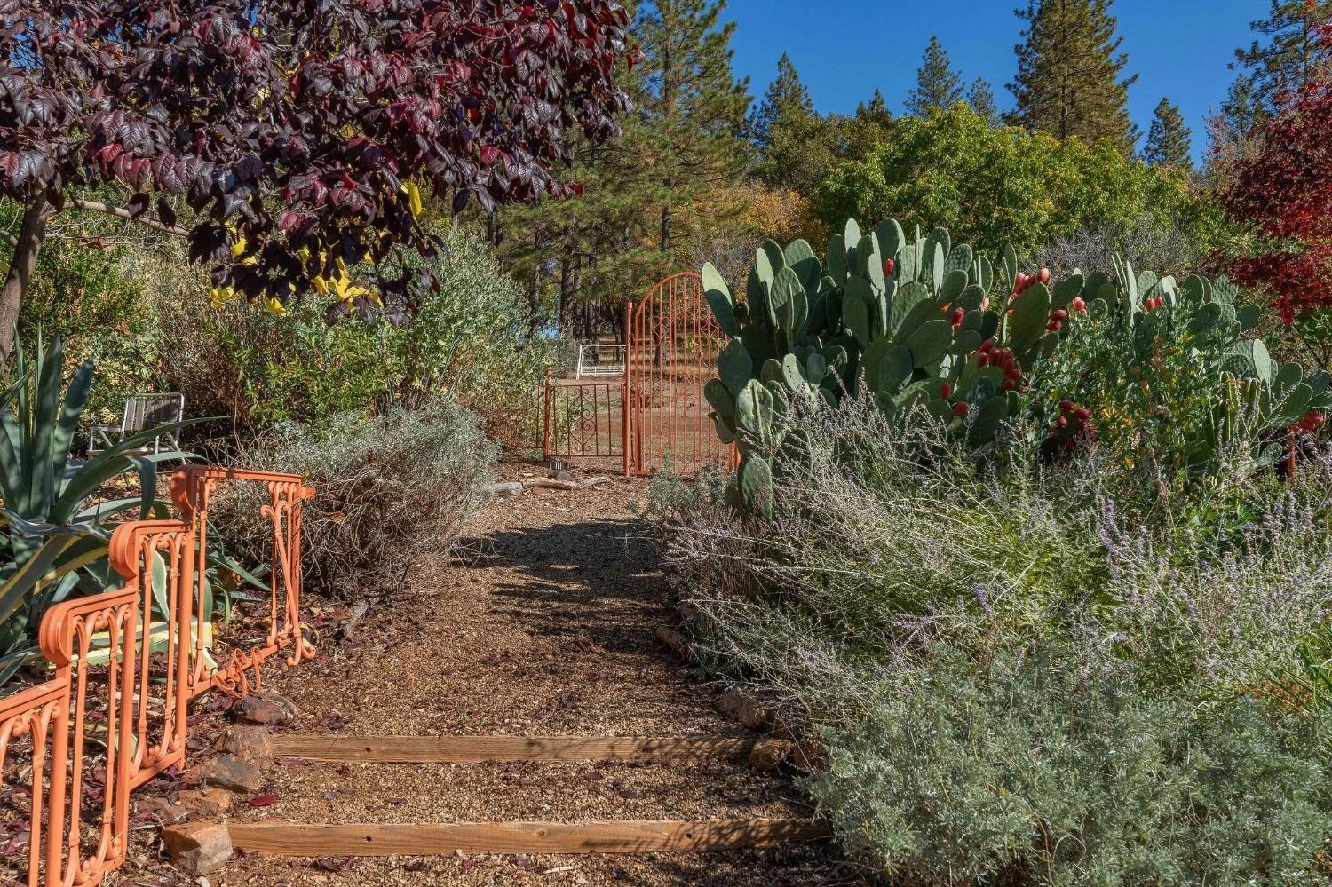 Mokelumne Hill, California, 95245, United States, 5 Bedrooms Bedrooms, ,3 BathroomsBathrooms,Residential,For Sale,1914362