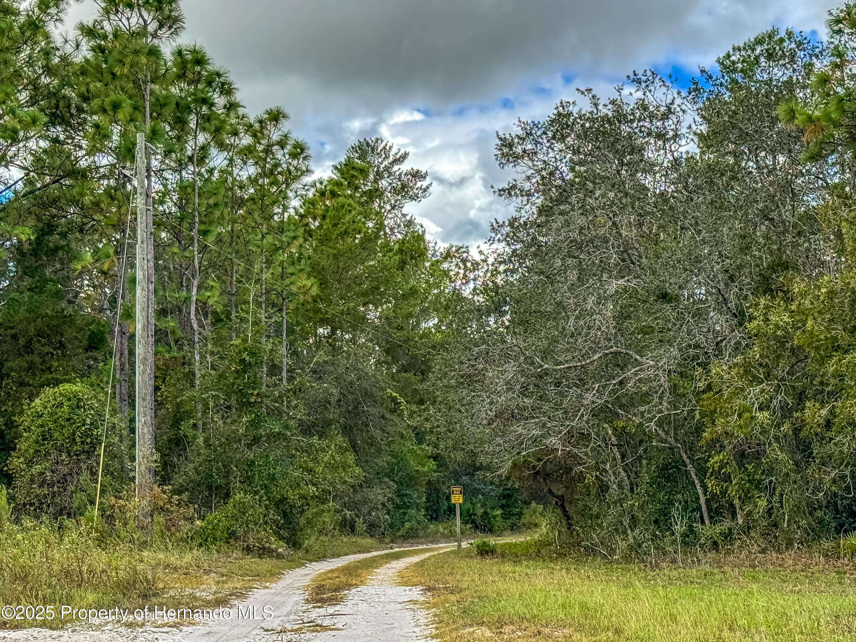 Brooksville, Florida, 34613, United States, 4 Bedrooms Bedrooms, ,2 BathroomsBathrooms,Residential,For Sale,1975088