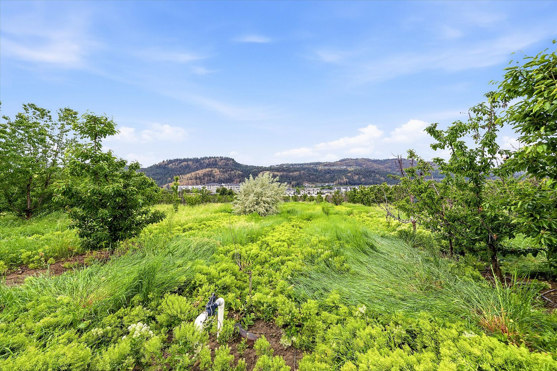  Glenmore Farm Acreage - 物件實景