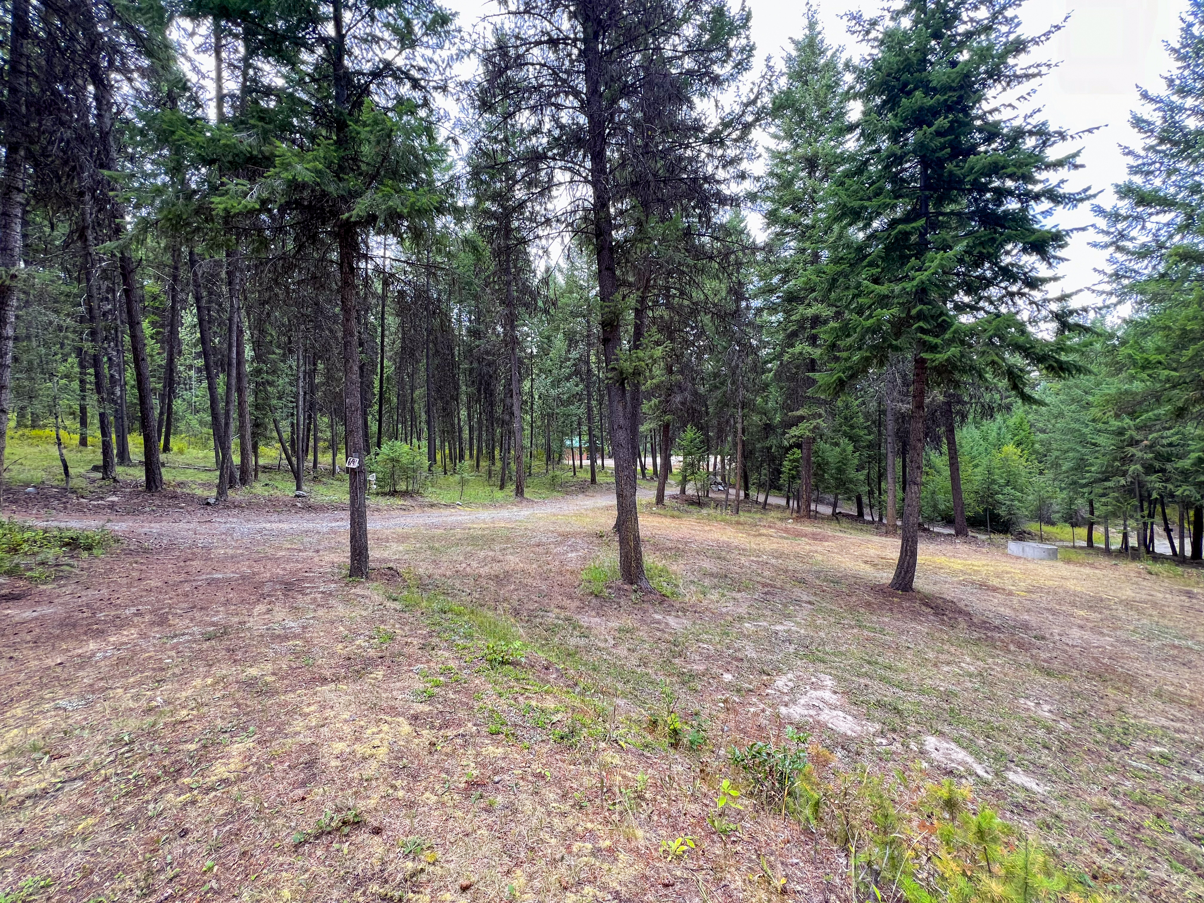 Republic, Washington, 99166, United States, 3 Bedrooms Bedrooms, ,3 BathroomsBathrooms,Residential,For Sale,1976903