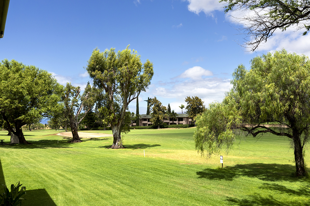 68-1745 WAIKOLOA RD C201, Waikoloa, Hawaii, 96738, United States, 2 Bedrooms Bedrooms, ,2 BathroomsBathrooms,Residential,For Sale,68-1745 WAIKOLOA RD C201,1639218