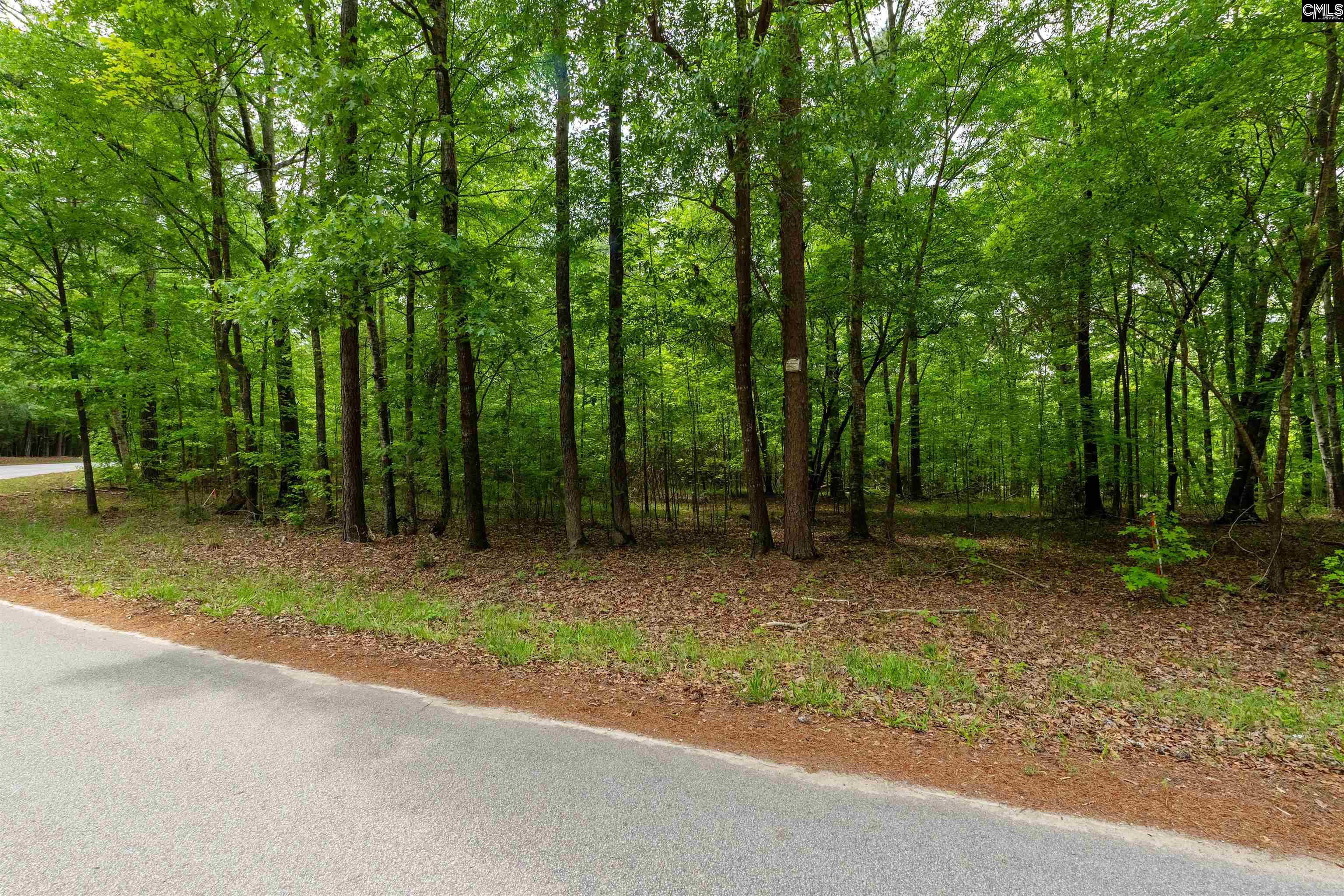  1427-3 Buck Hill Landing, Ridgeway - 物件實景