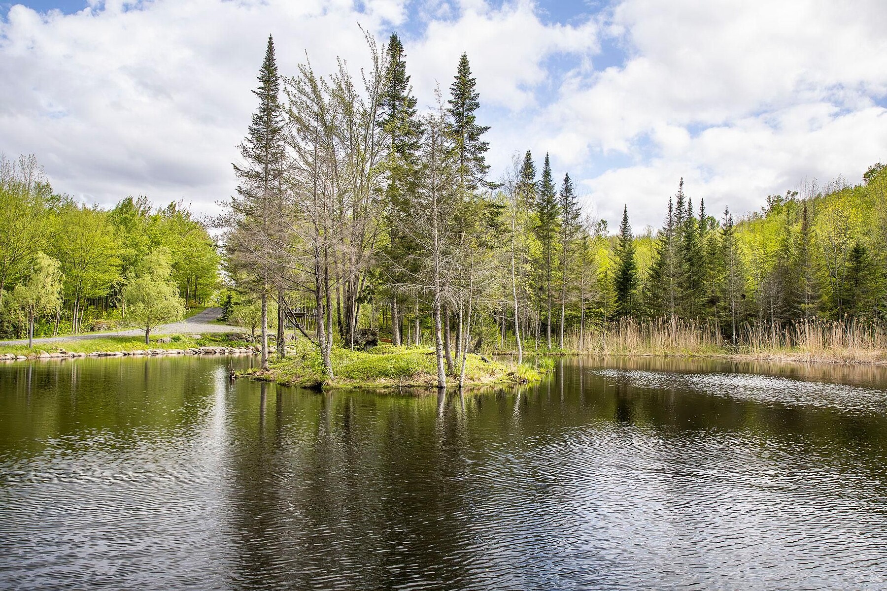  Austin, Eastern Townships - 物件實景