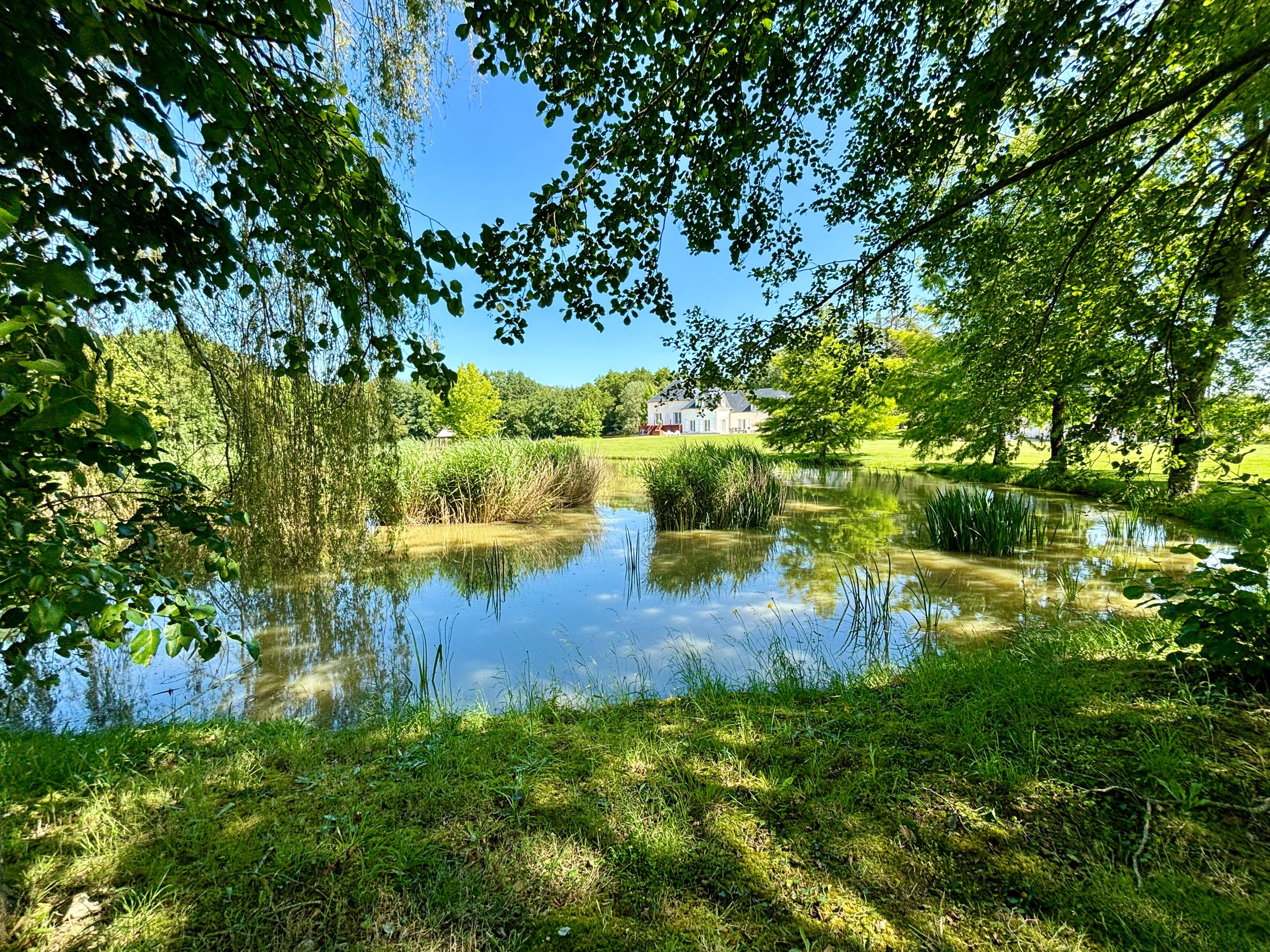  Dream property - 物件實景