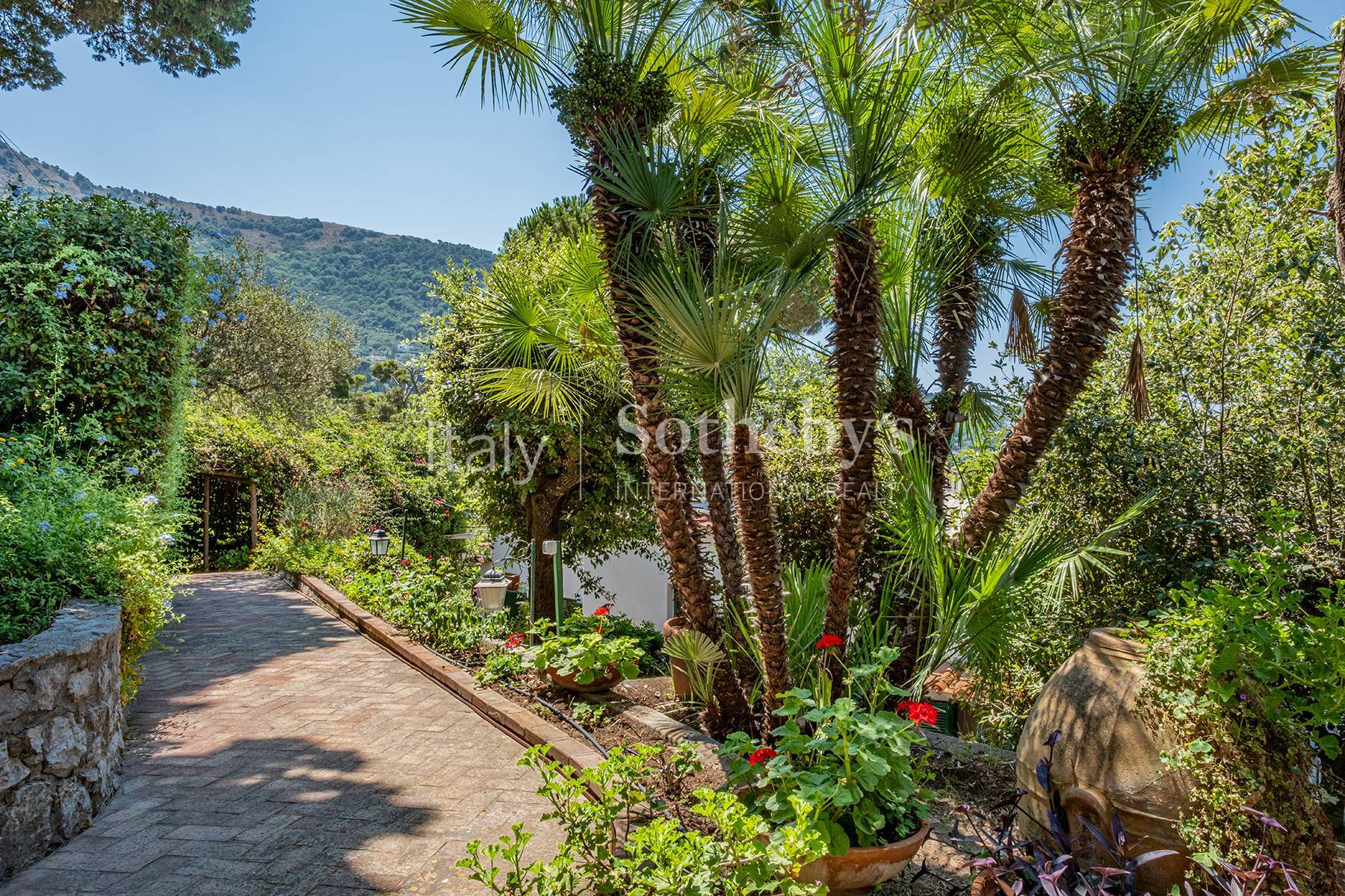  Charming residence in Anacapri - 物件實景