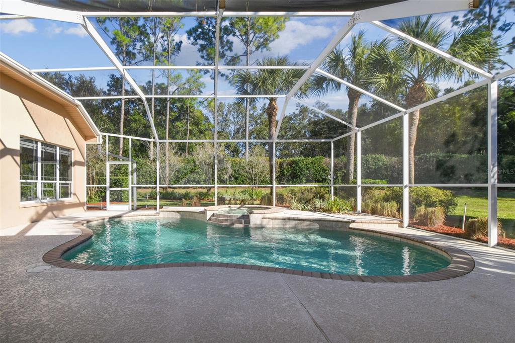 Palm Harbor, Florida, 34685, United States, 4 Bedrooms Bedrooms, ,4 BathroomsBathrooms,Residential,For Sale,1992596