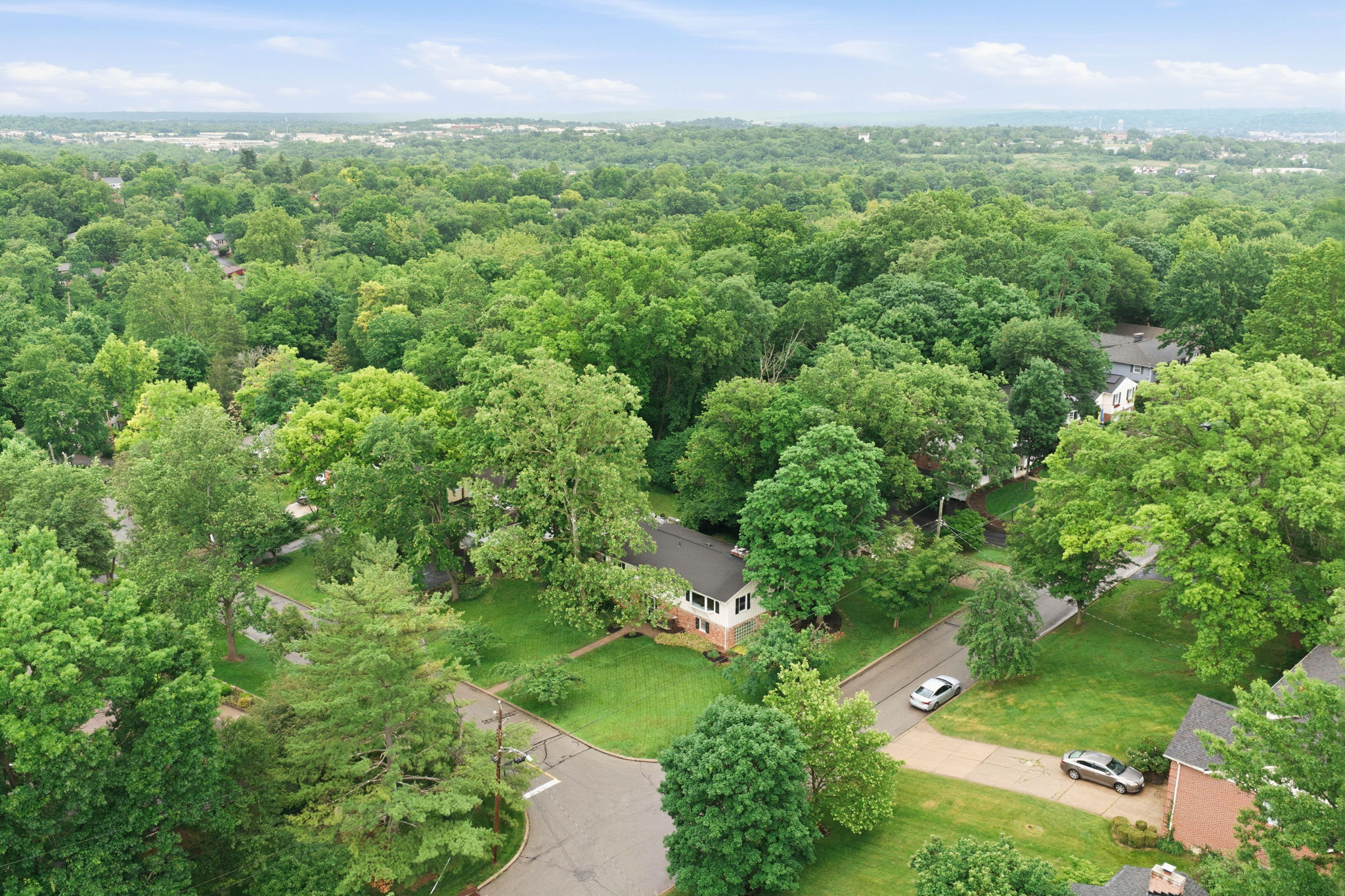  1204 Forest Court, Cincinnati, OH 45215 - 物件實景
