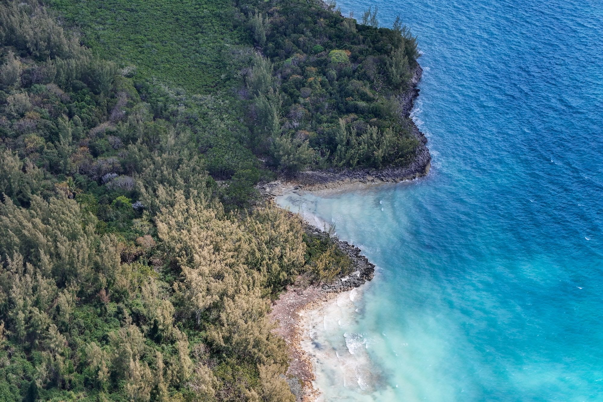  East Russell Island Acreage - 物件實景