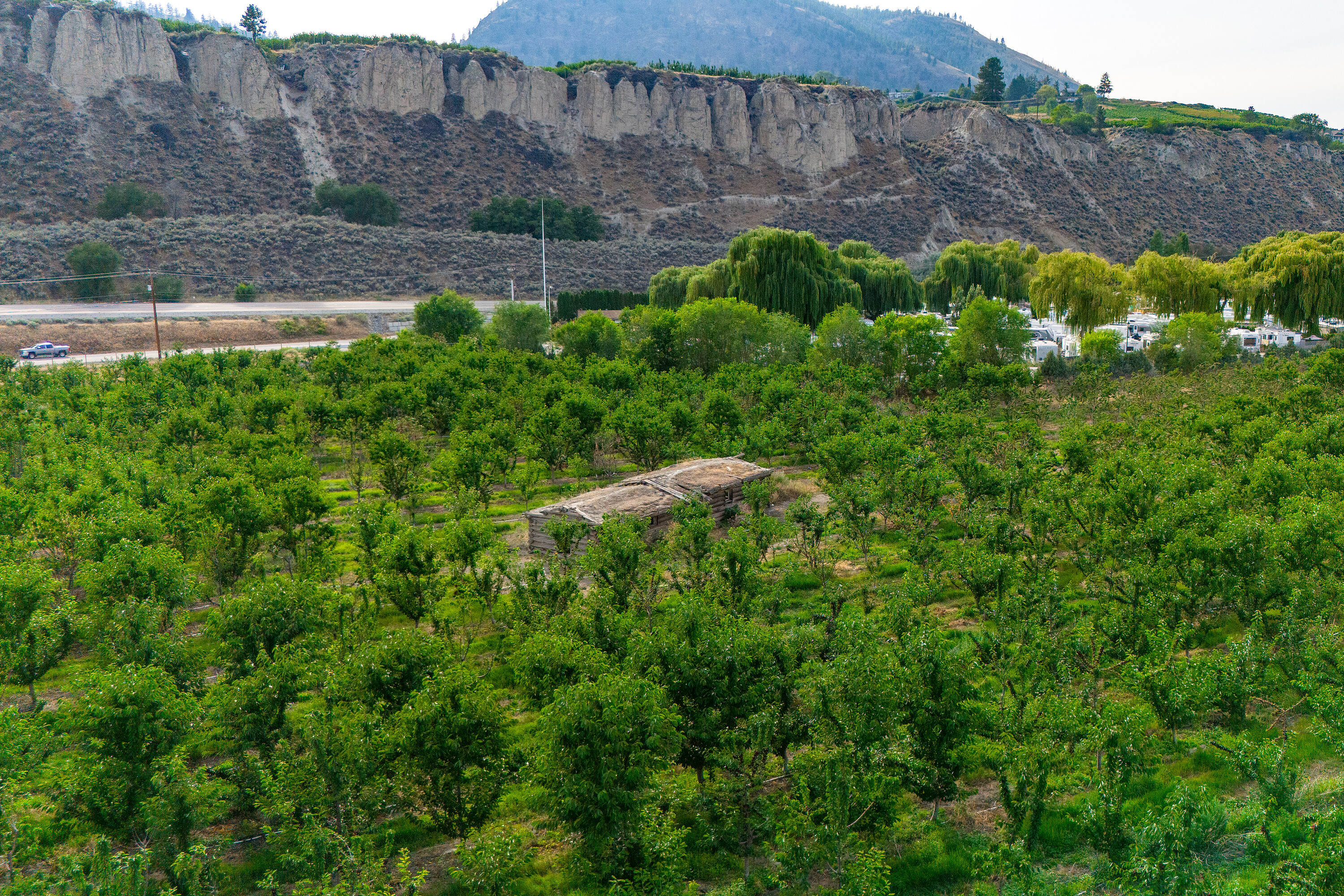  Cherry Orchard Foreclosure - 物件實景