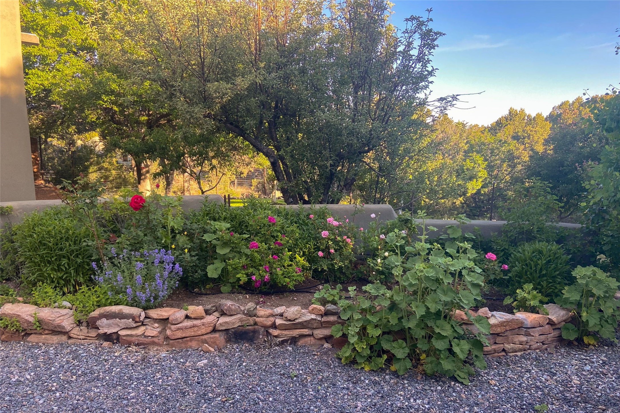  7 Cibola Circle - 物件實景