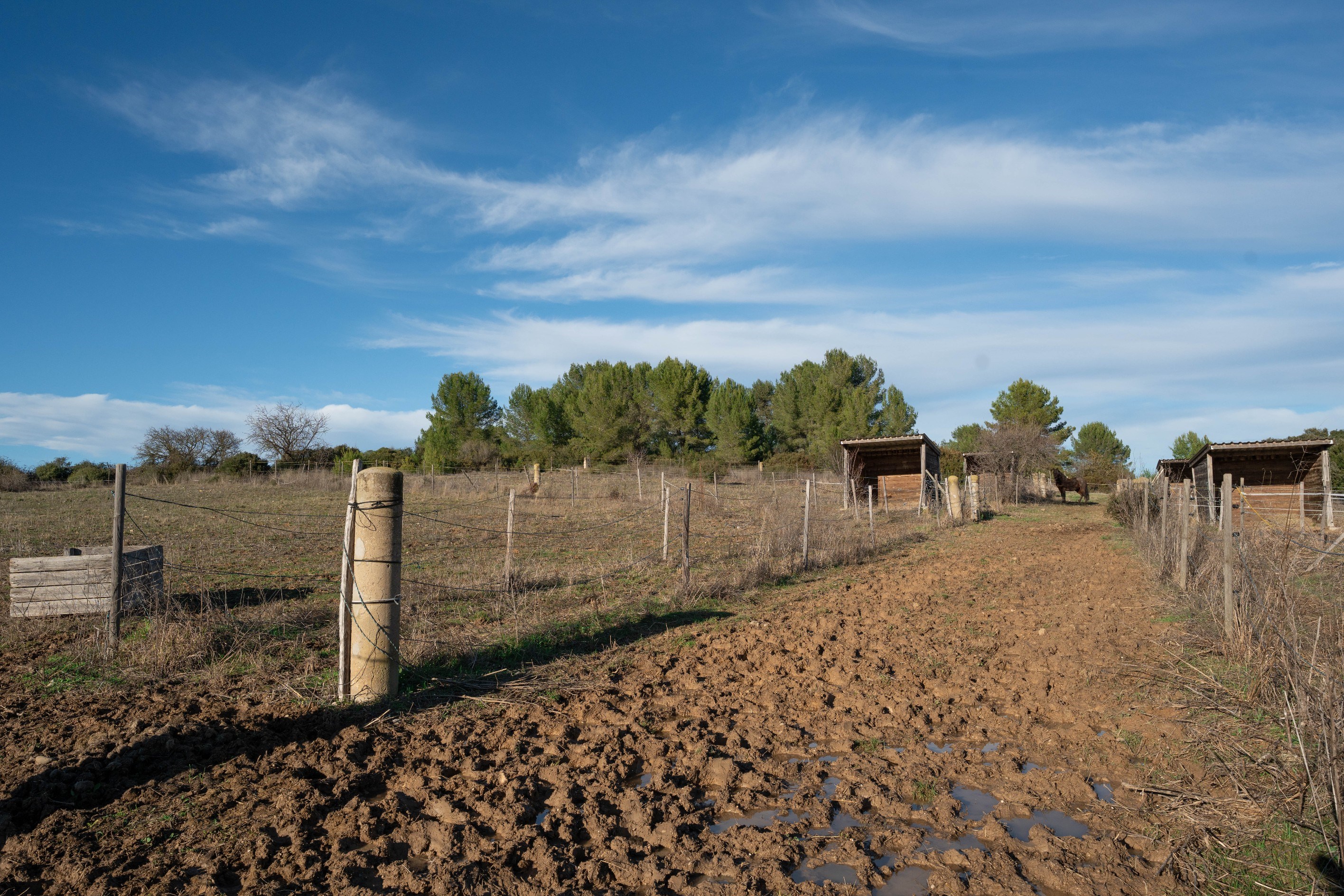  Equestrian excellence in a preserved natural setting - 物件實景