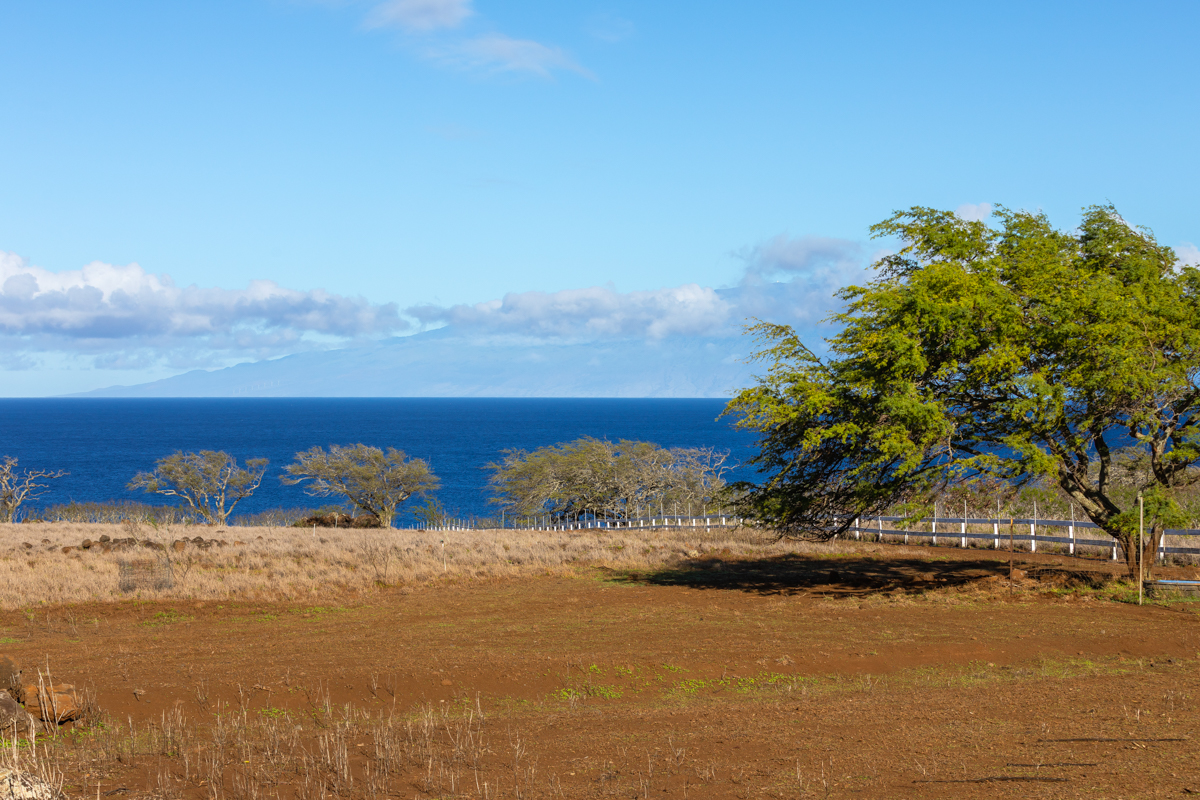 Hawi, Hawaii, 96719, United States, ,Land,For Sale,1997291