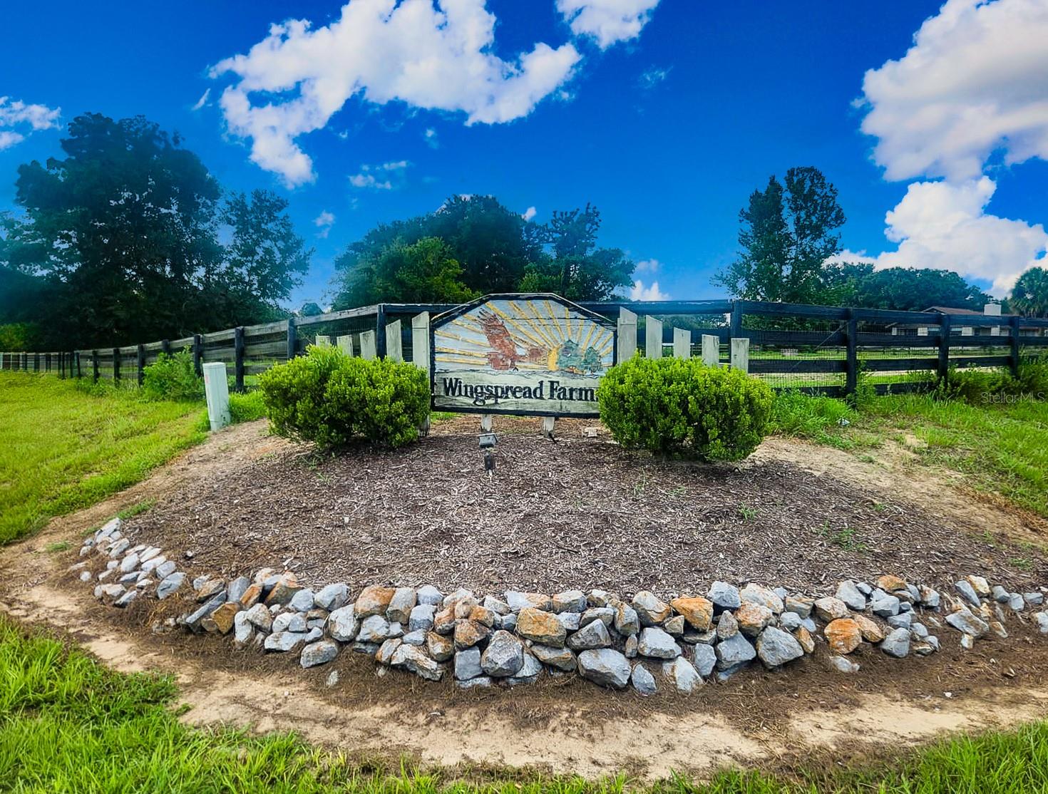 OCALA, Florida, 34476, United States, ,Land,For Sale,1907653