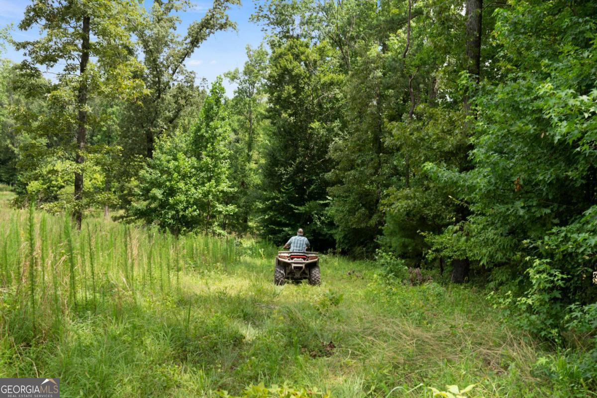 Rome, Georgia, 30165, United States, ,Land,For Sale,1890078