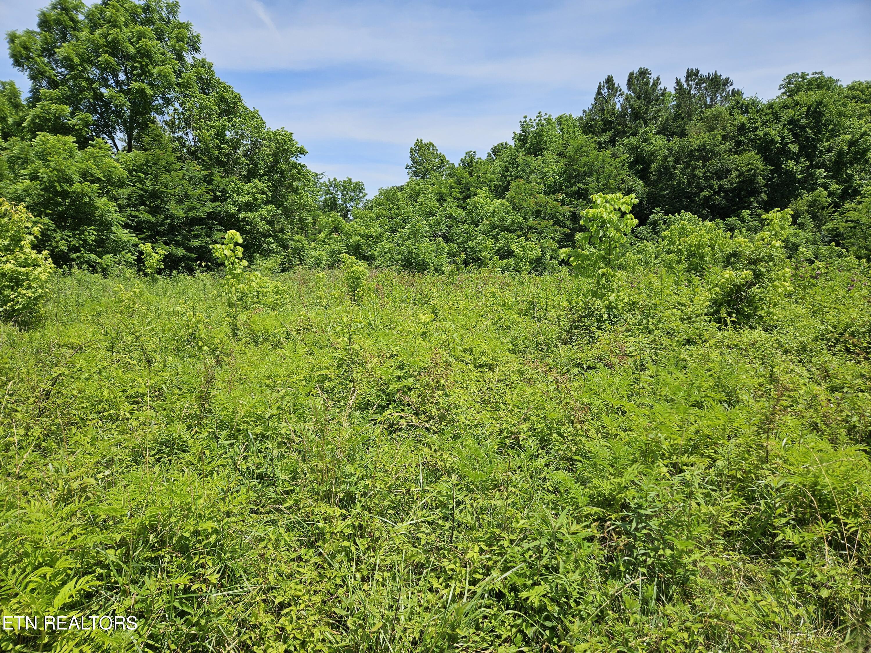 Maryville, Tennessee, 37803, United States, ,Land,For Sale,1976911