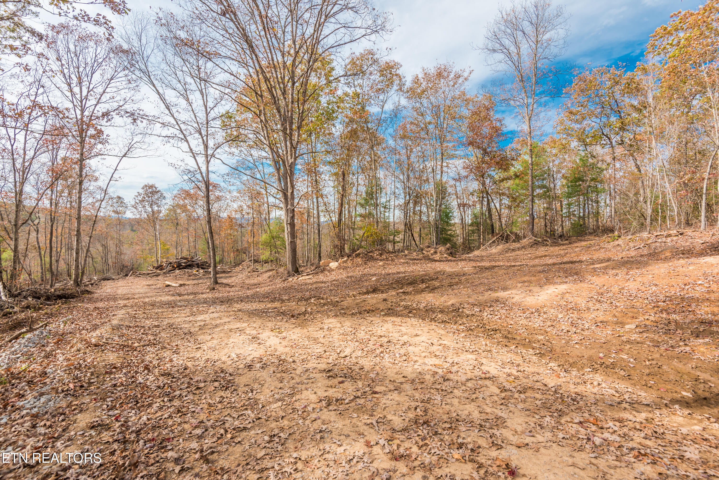 Rockwood, Tennessee, 37854, United States, ,Land,For Sale,1806468