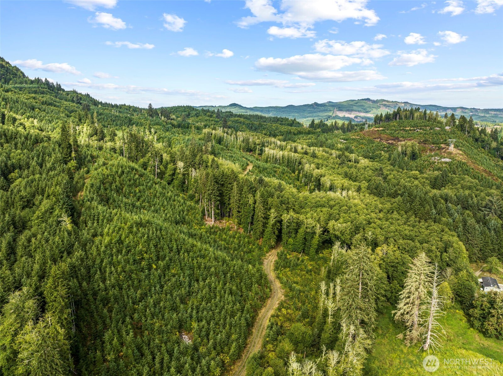 Skamokawa, Washington, 98647, United States, ,Land,For Sale,1903291