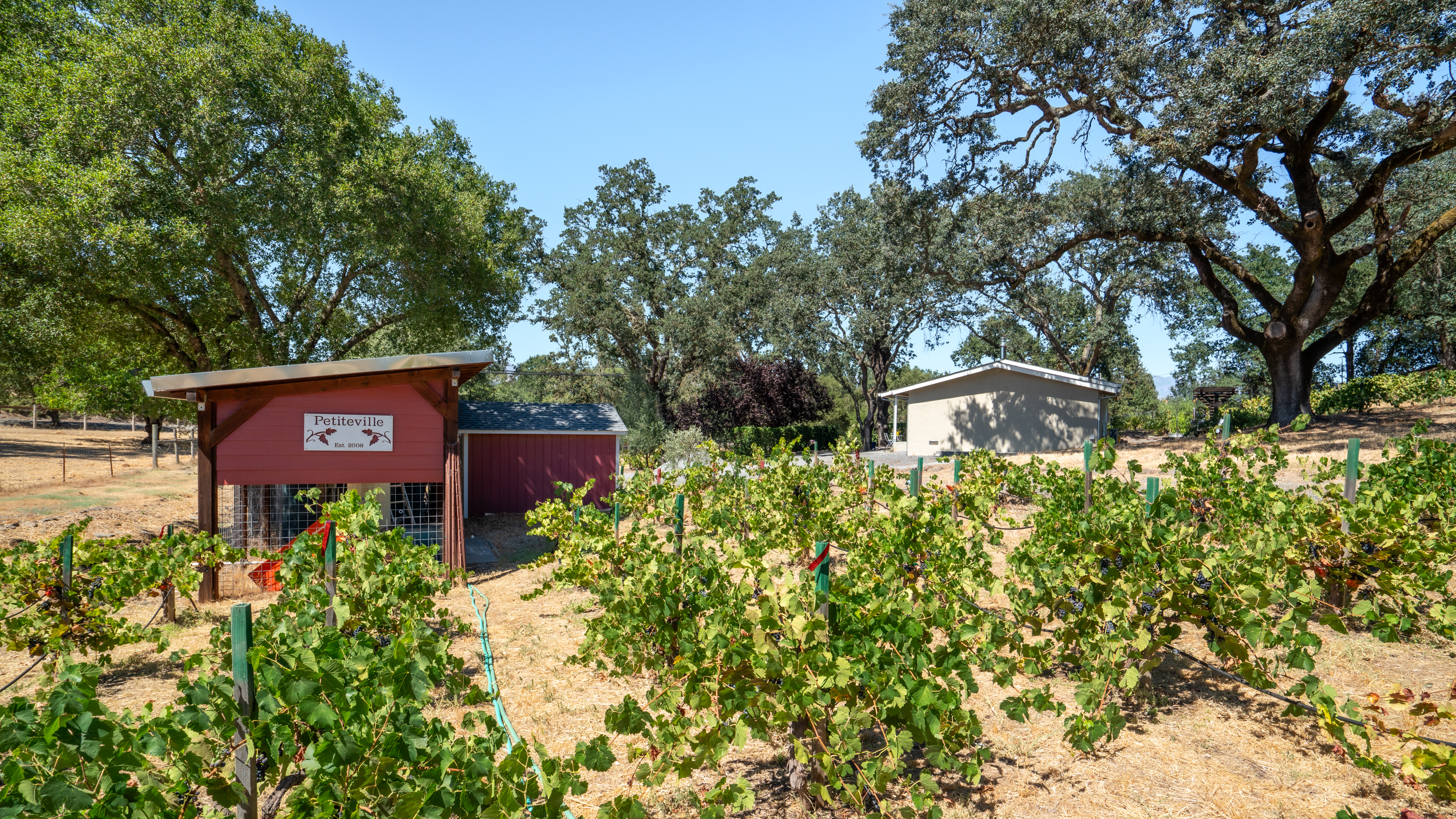  Rare Opportunity in Alexander Valley - 物件實景