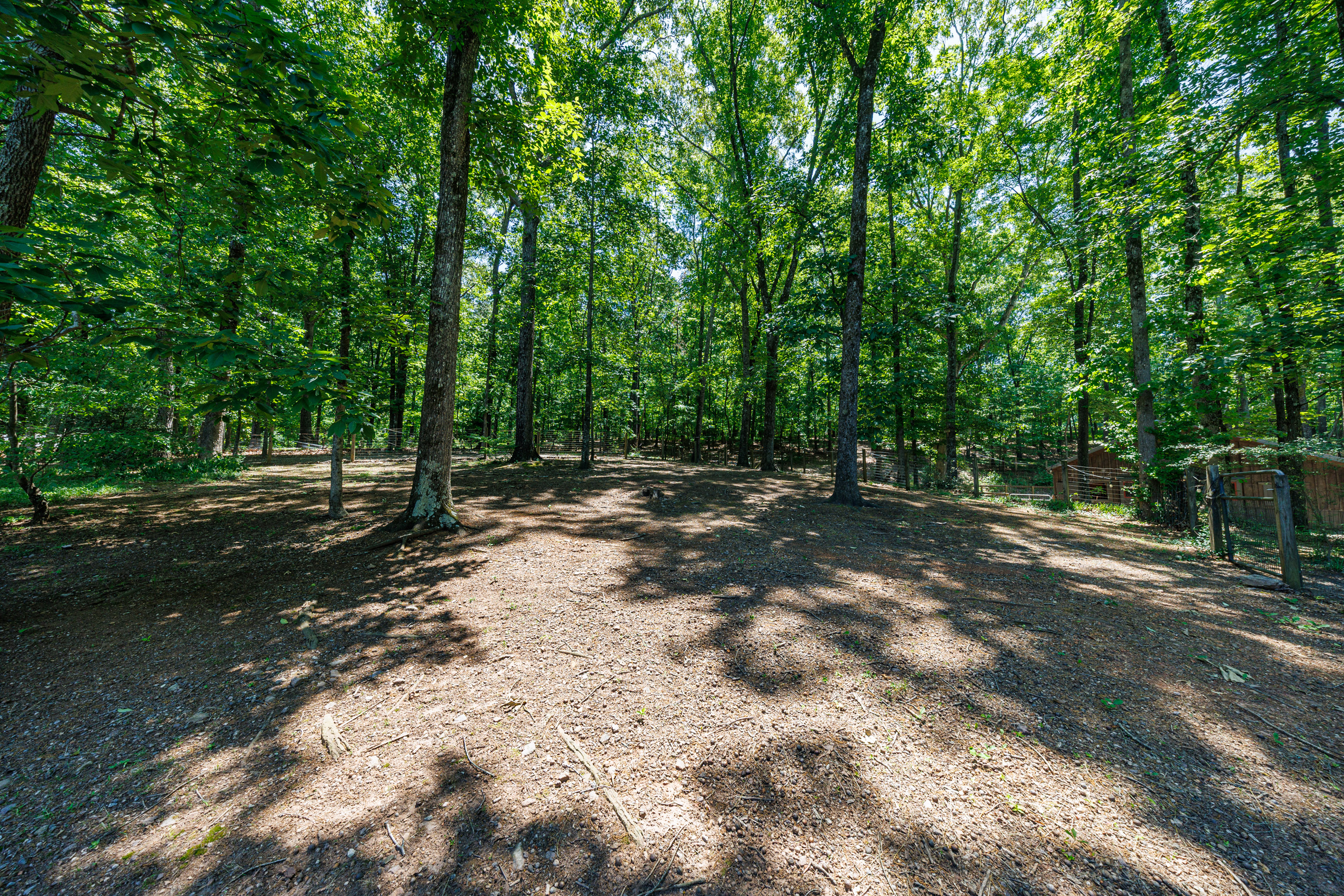 Exceptional Custom-built French Country Estate with Equestrian Amenities - 物件實景