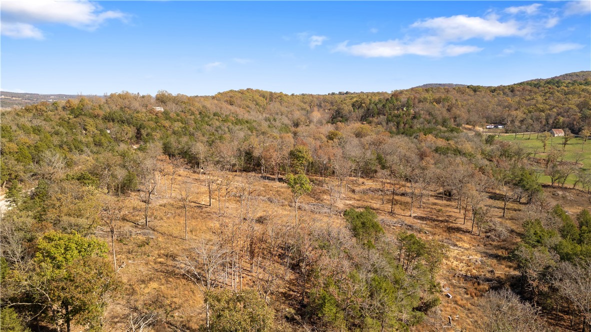 Yellville, Arkansas, 72687, United States, ,Land,For Sale,1903439
