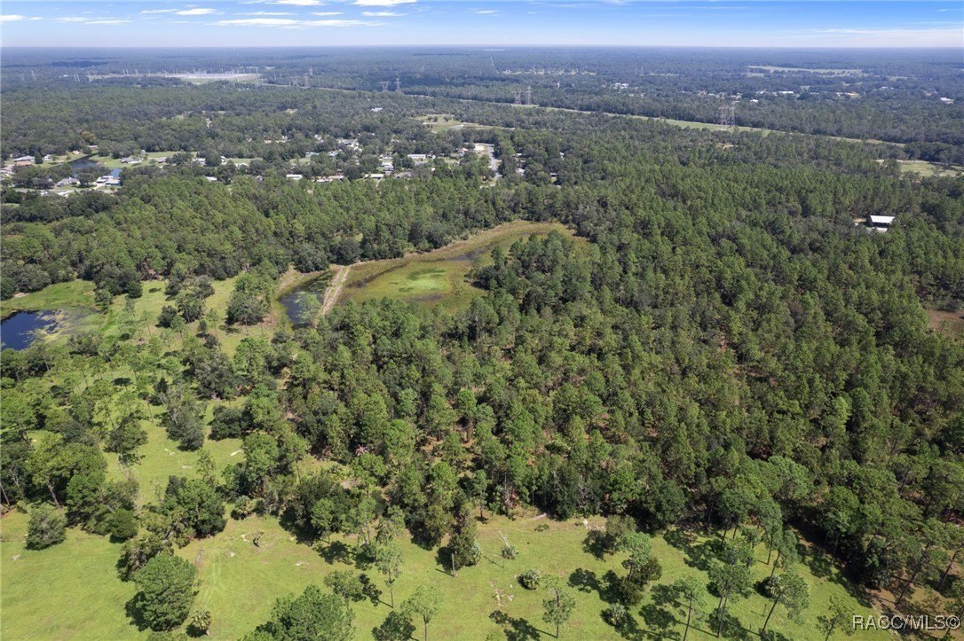 Crystal River, Florida, 34428, United States, ,Land,For Sale,1977814