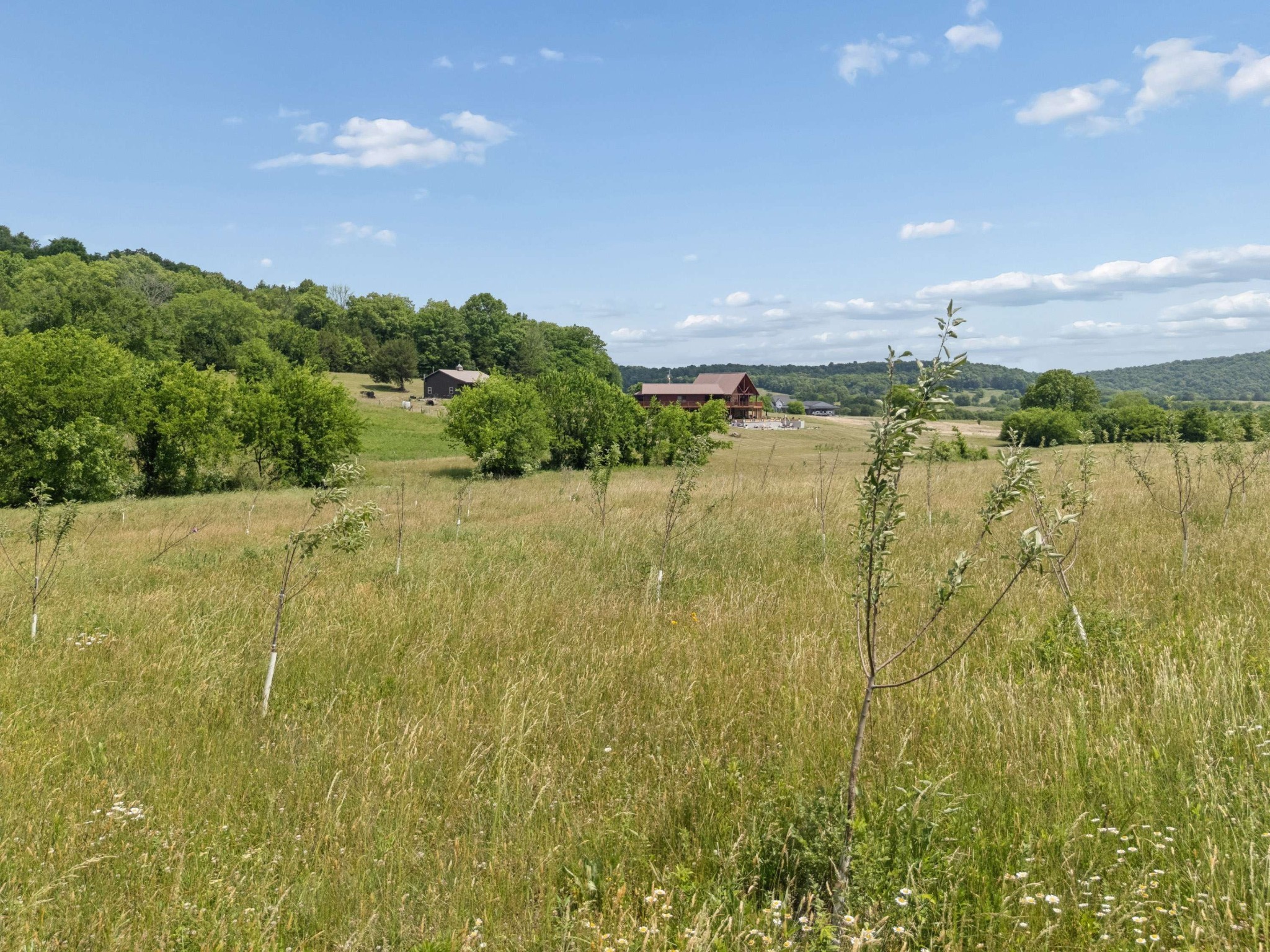  2063 Kennedy Creek Rd, Auburntown, TN, 37016 - 物件實景