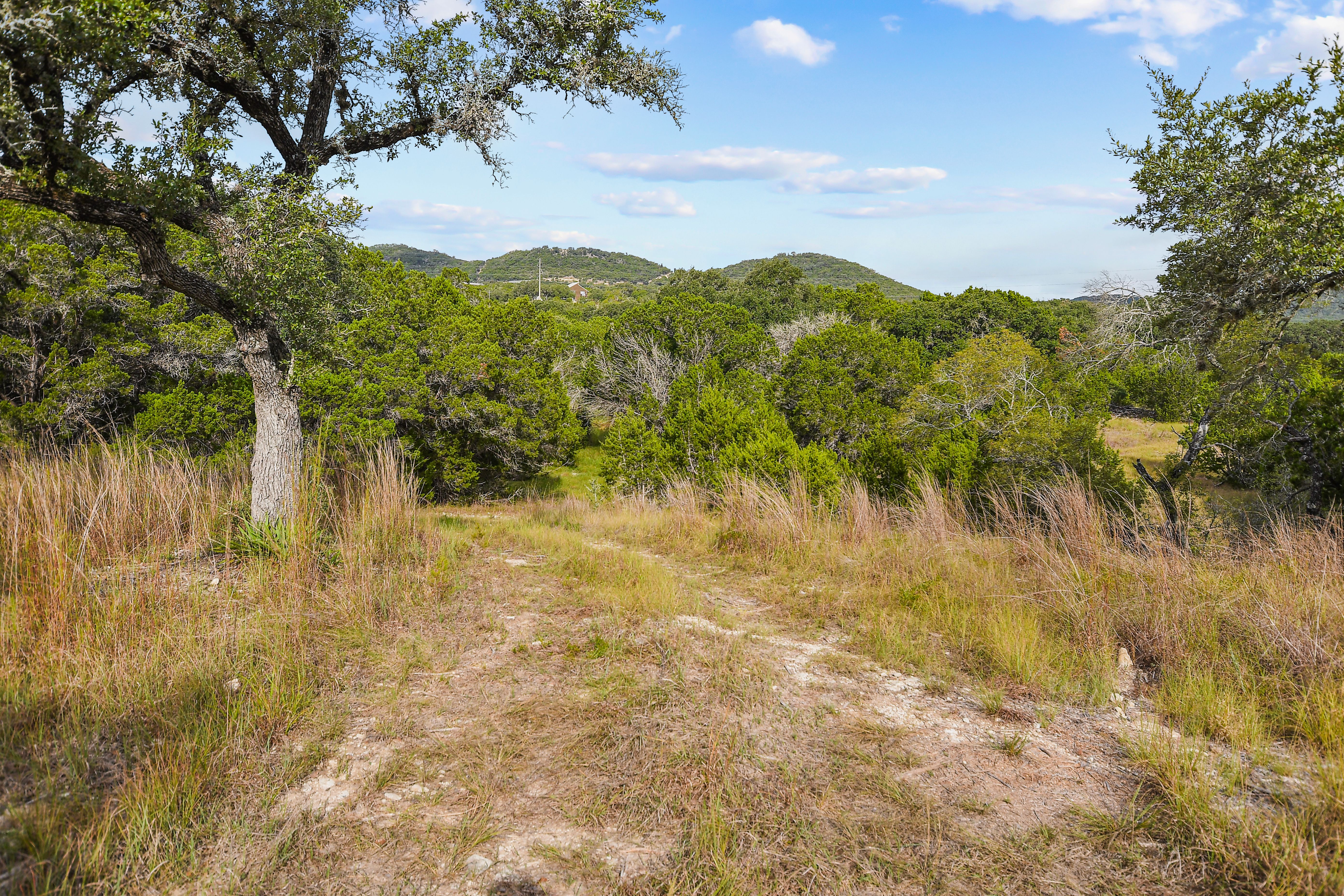  TBD Hwy 46 / Madrona Ranch Road, Pipe Creek, TX 78063 - 物件實景