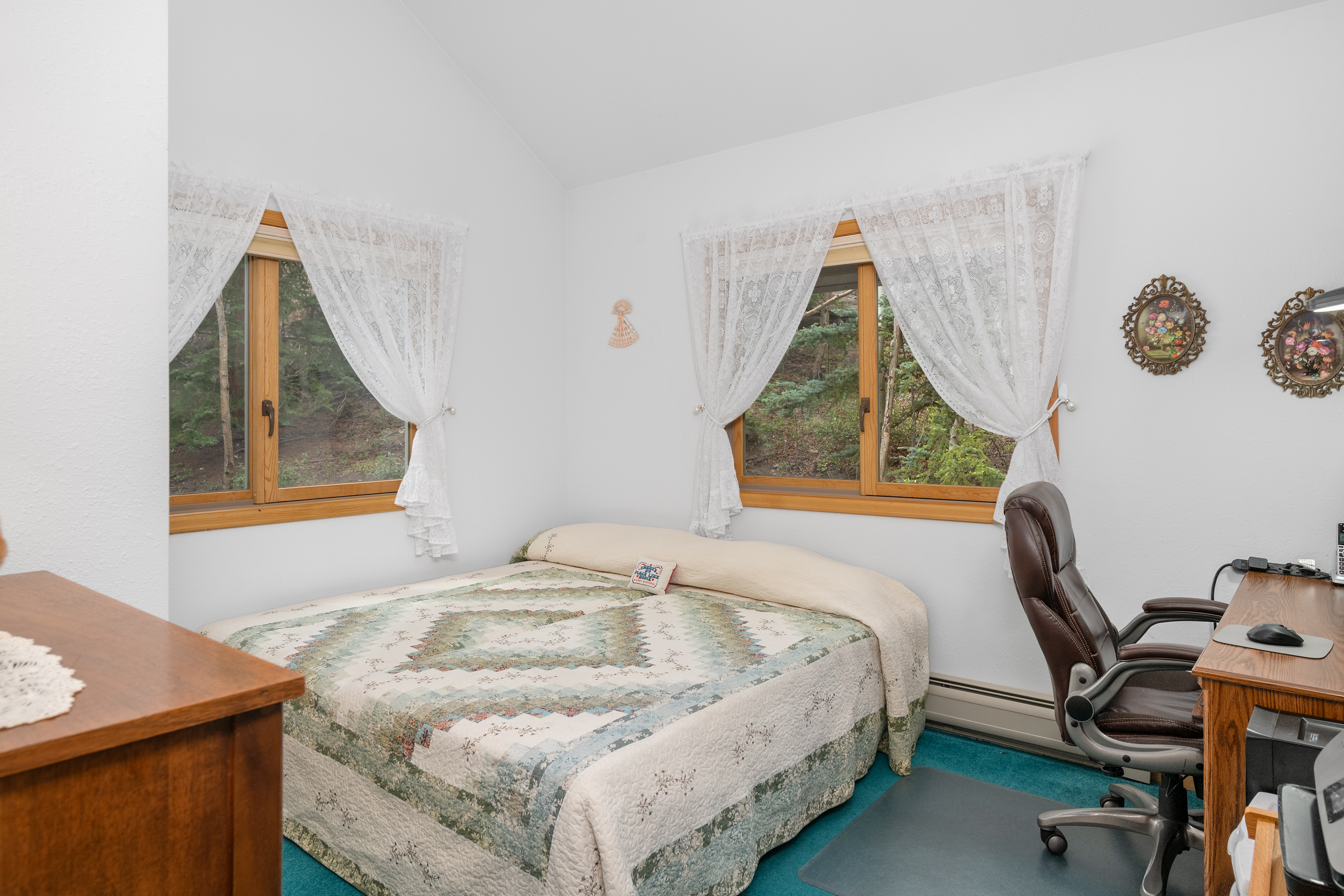  2079 Hummingbird Lane, Lake City, CO, 81235 - 物件實景
