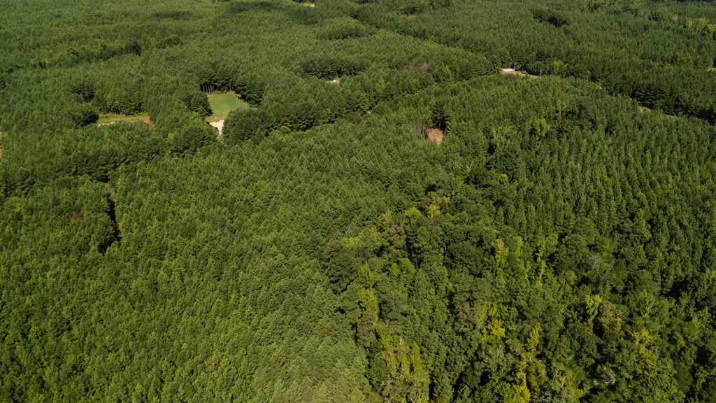 Hamilton, Georgia, 31811, United States, ,Land,For Sale,1919731